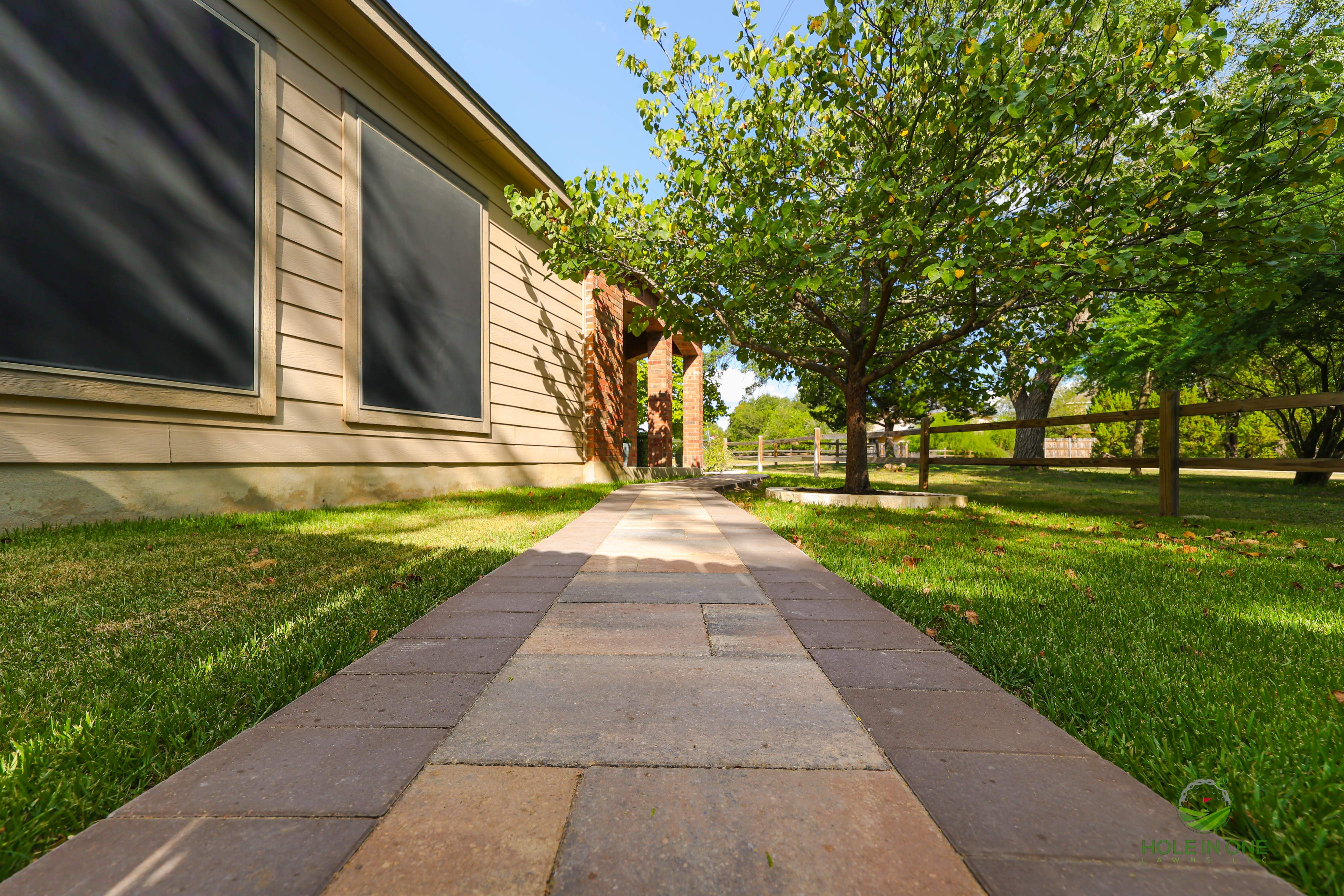 Wortham Oak, San Antonio TX by Hole In One Lawns, LLC