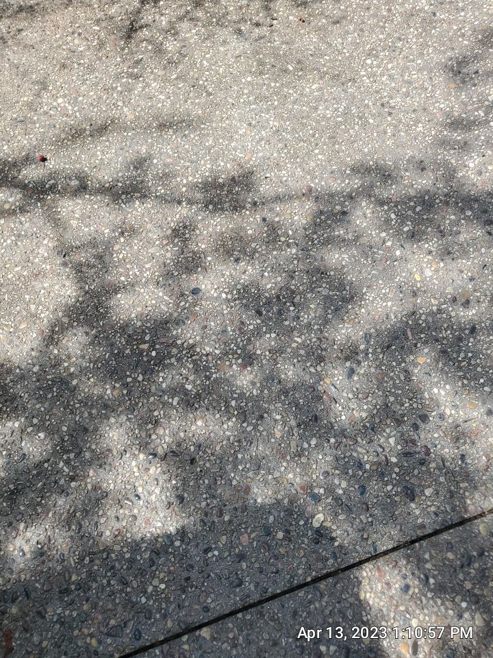 Northbrook, IL aggregate strip and re seal by Northern Power Washing LLC.