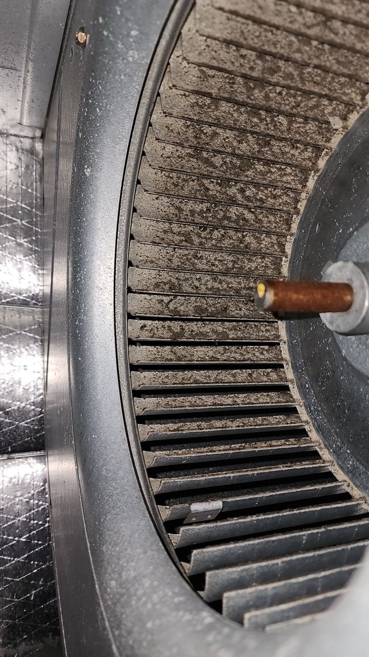 HVAC MOLD ASSESMENT by Building performance Solutions LLC