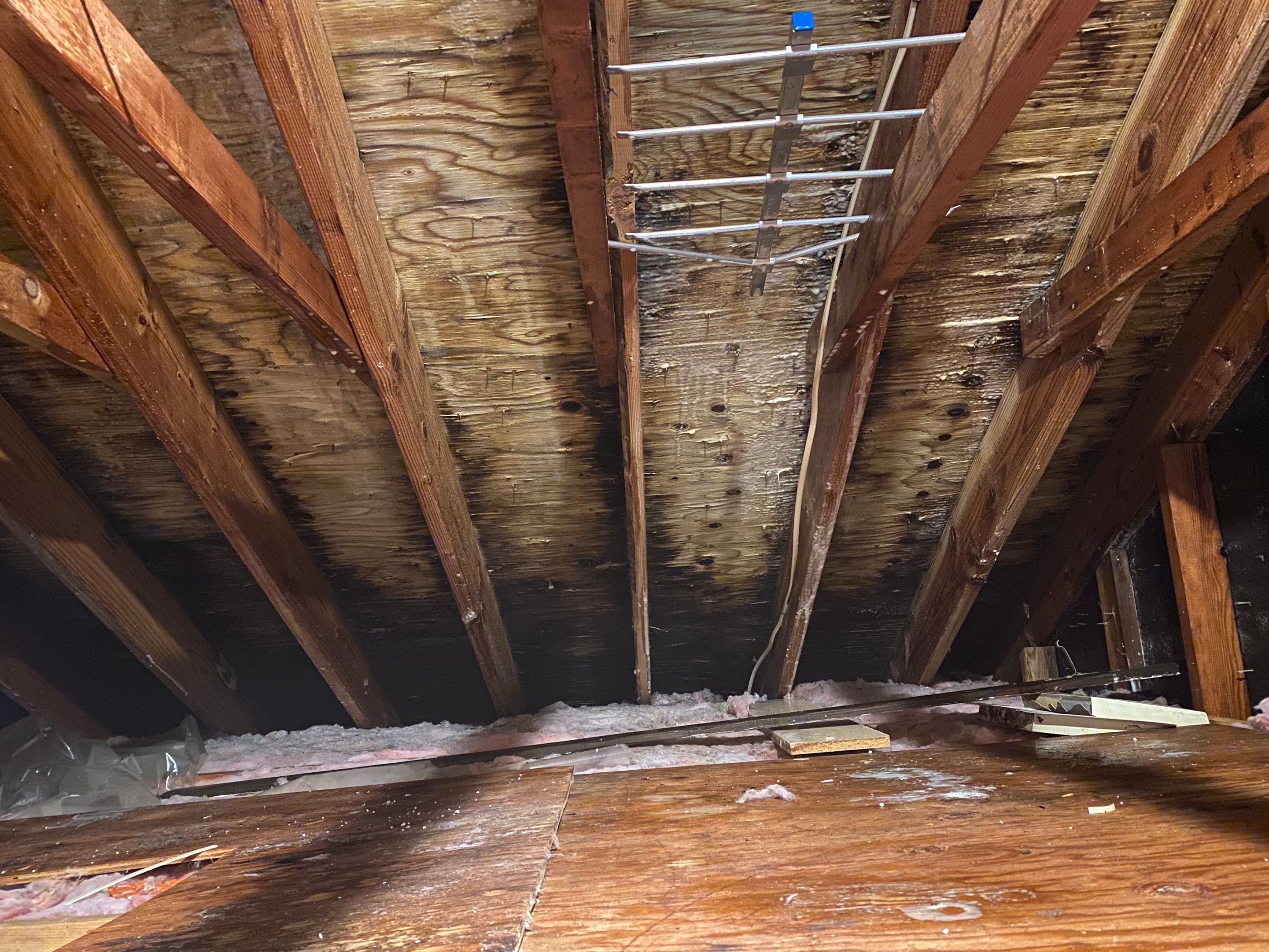 Attic Mold Remediation Job in Vernon Township, NJ by Pure Service Pro, LLC 