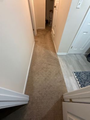 Project in Millington