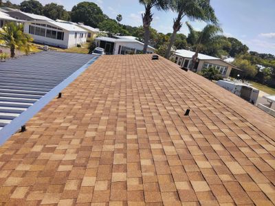 Shingle Reroof Replacement Sebastian FL