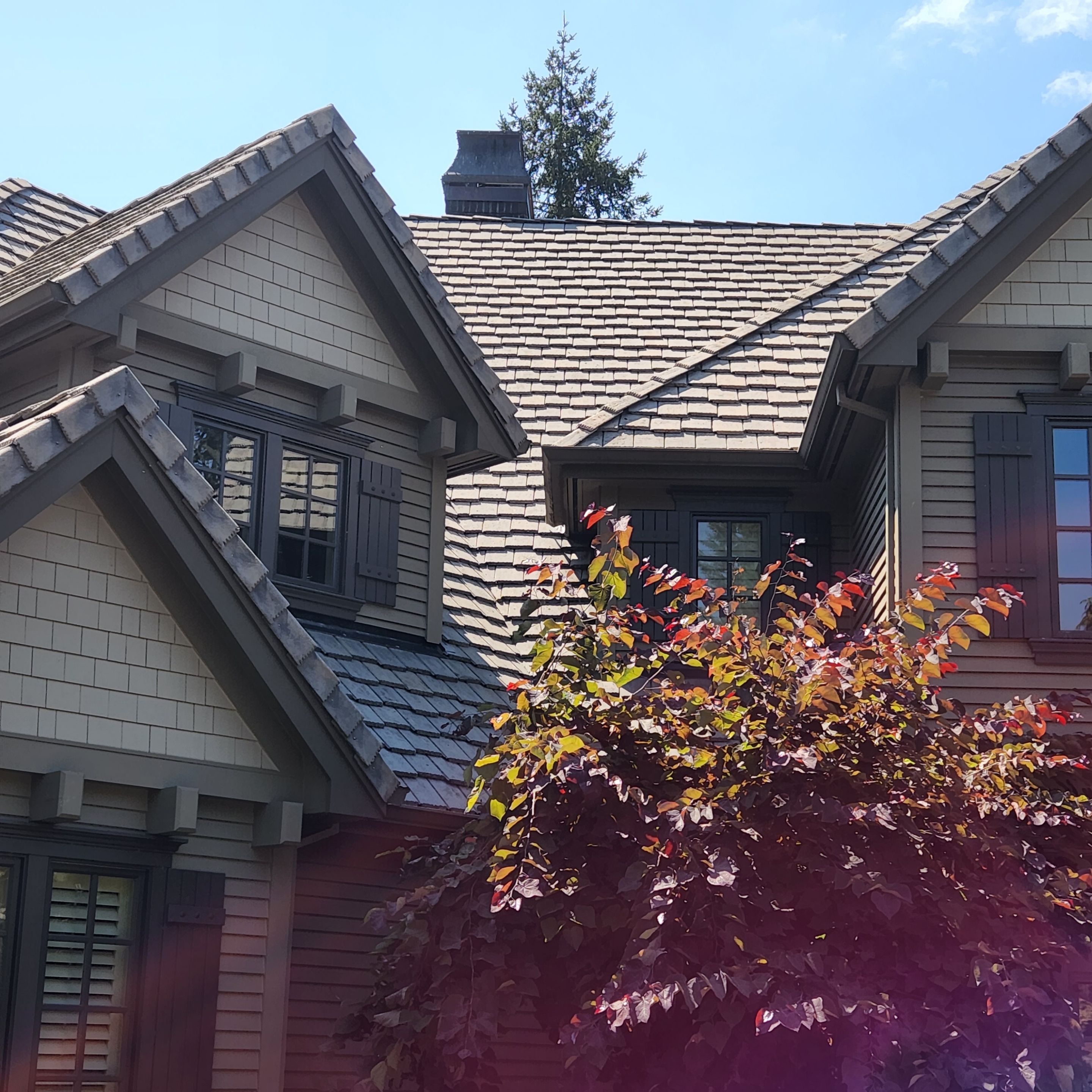 Moss Removal/ Treatment using Biocide by Willamette Outdoor Wash LLC