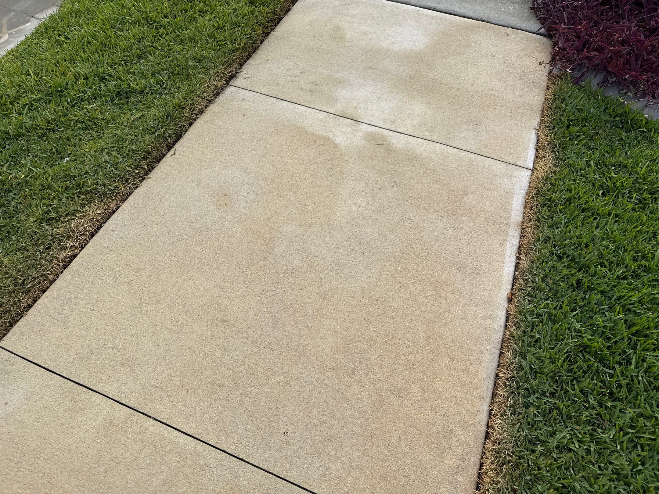 Rust Stain Removal from Concrete Driveway and Pavers in Park East at Azario | Lakewood Ranch, FL by Sunshine AquaWash