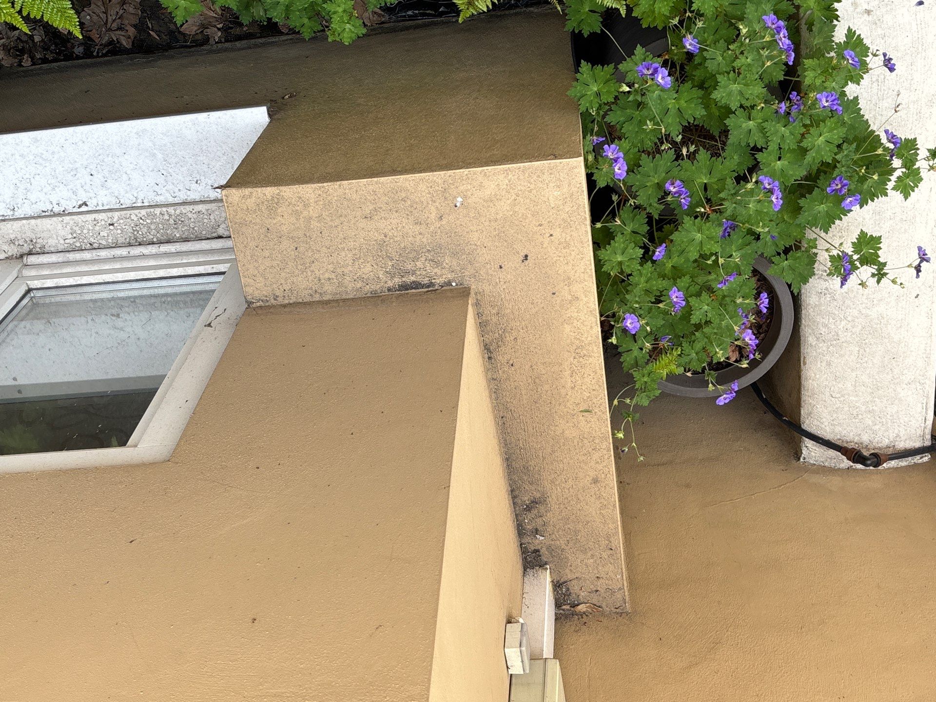 Exterior Pre-Sale Clean by Ges Exterior Cleaning ltd