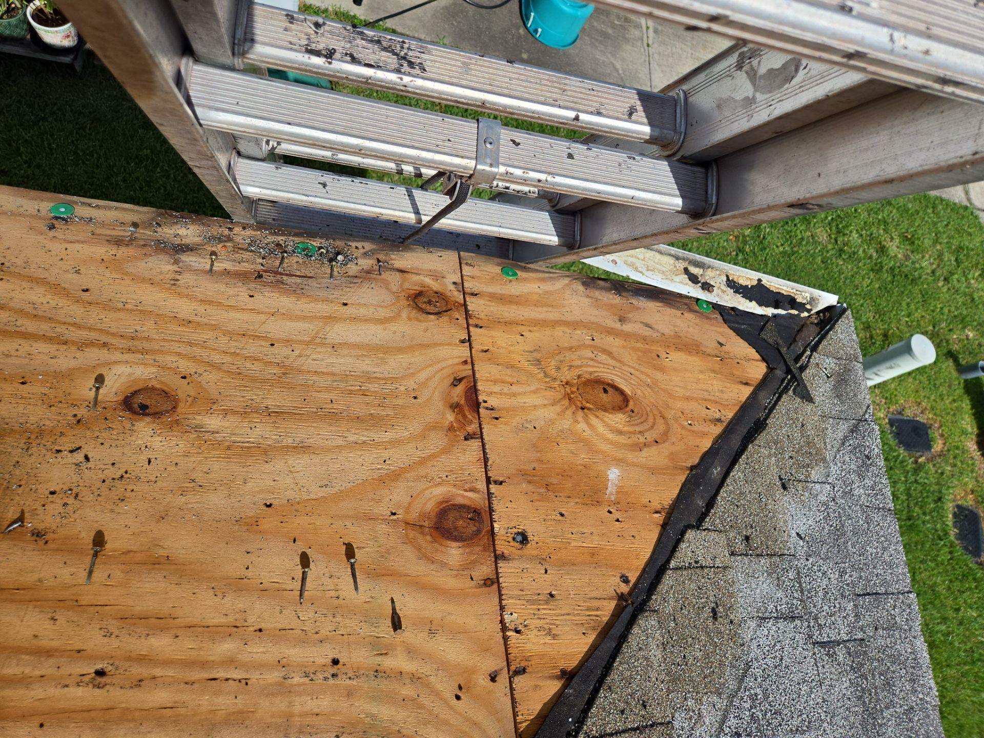 Project in Oldsmar 34677 by Mitchell Roofing Company LLC 