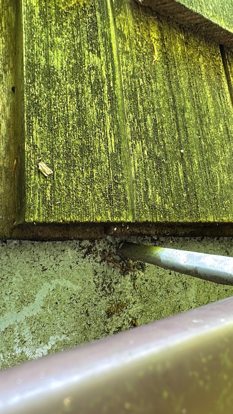 Fairfax Station: CertainTeed Landmark Pro Designer Shingles in Max Def Resawn Shake by RM Banning, Inc.