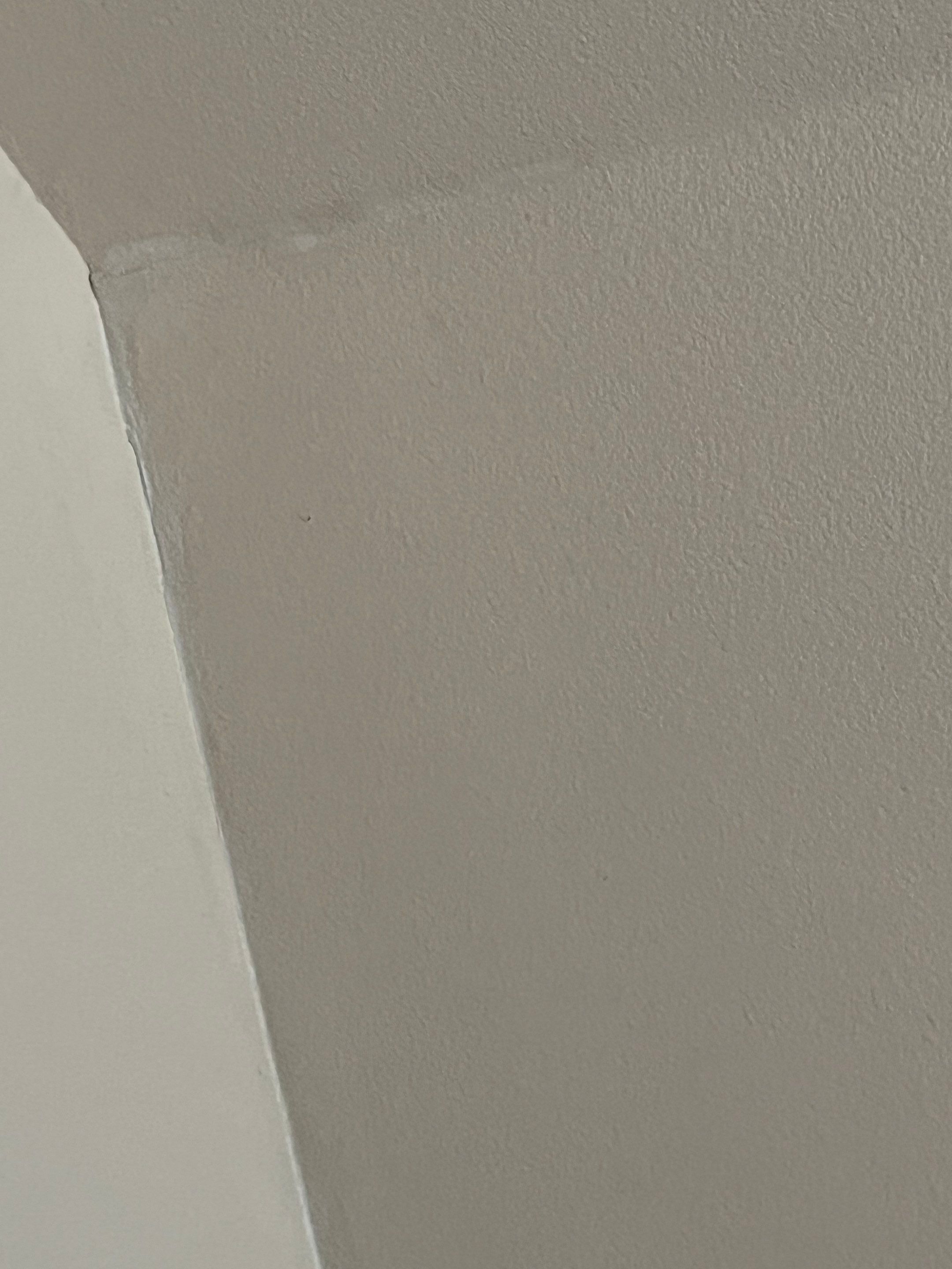 Project in Allen  by Zeus Exteriors