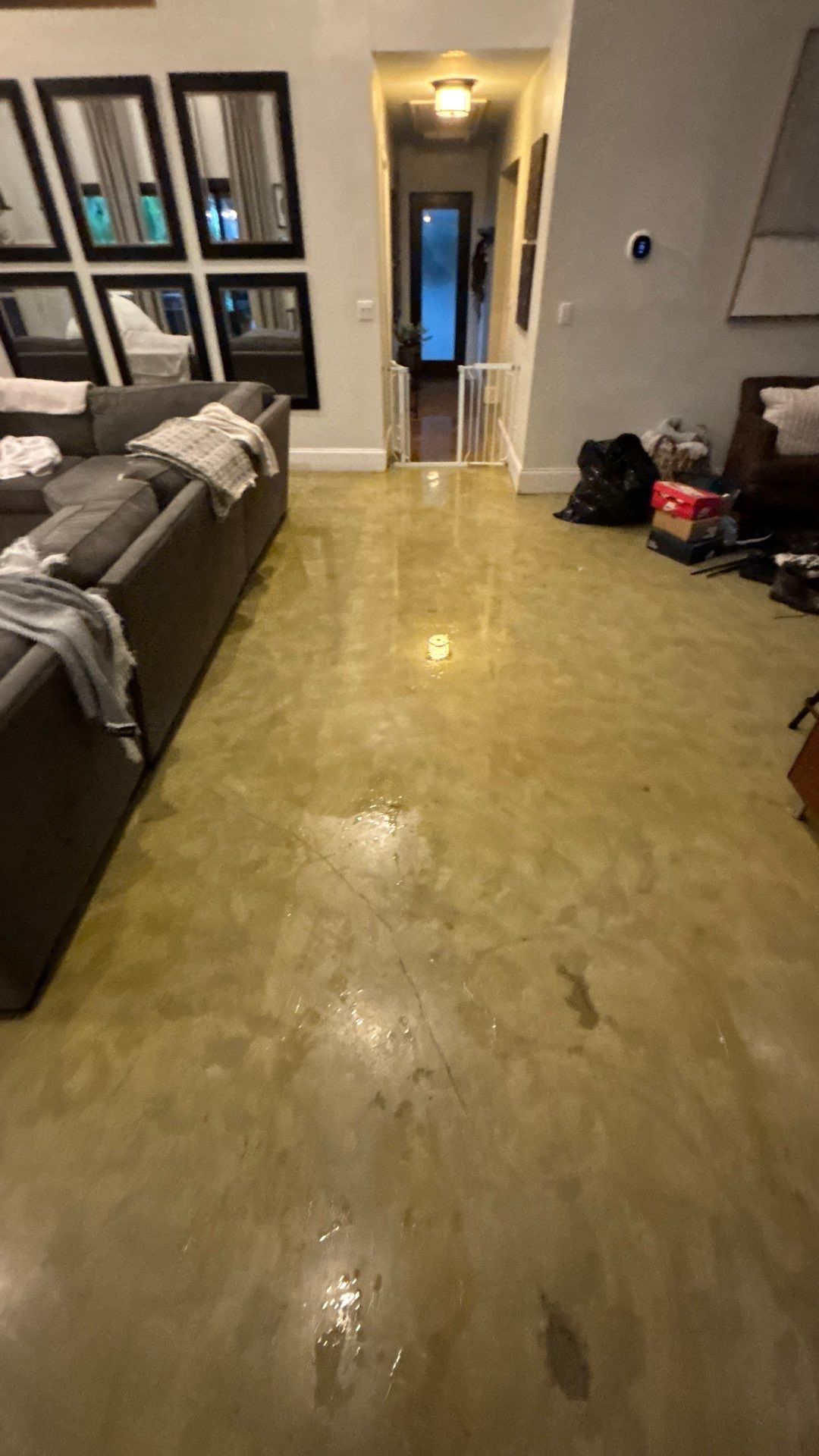 Wellington Water Damage Restoration with Thermal Imaging and Extraction by SuperClean 