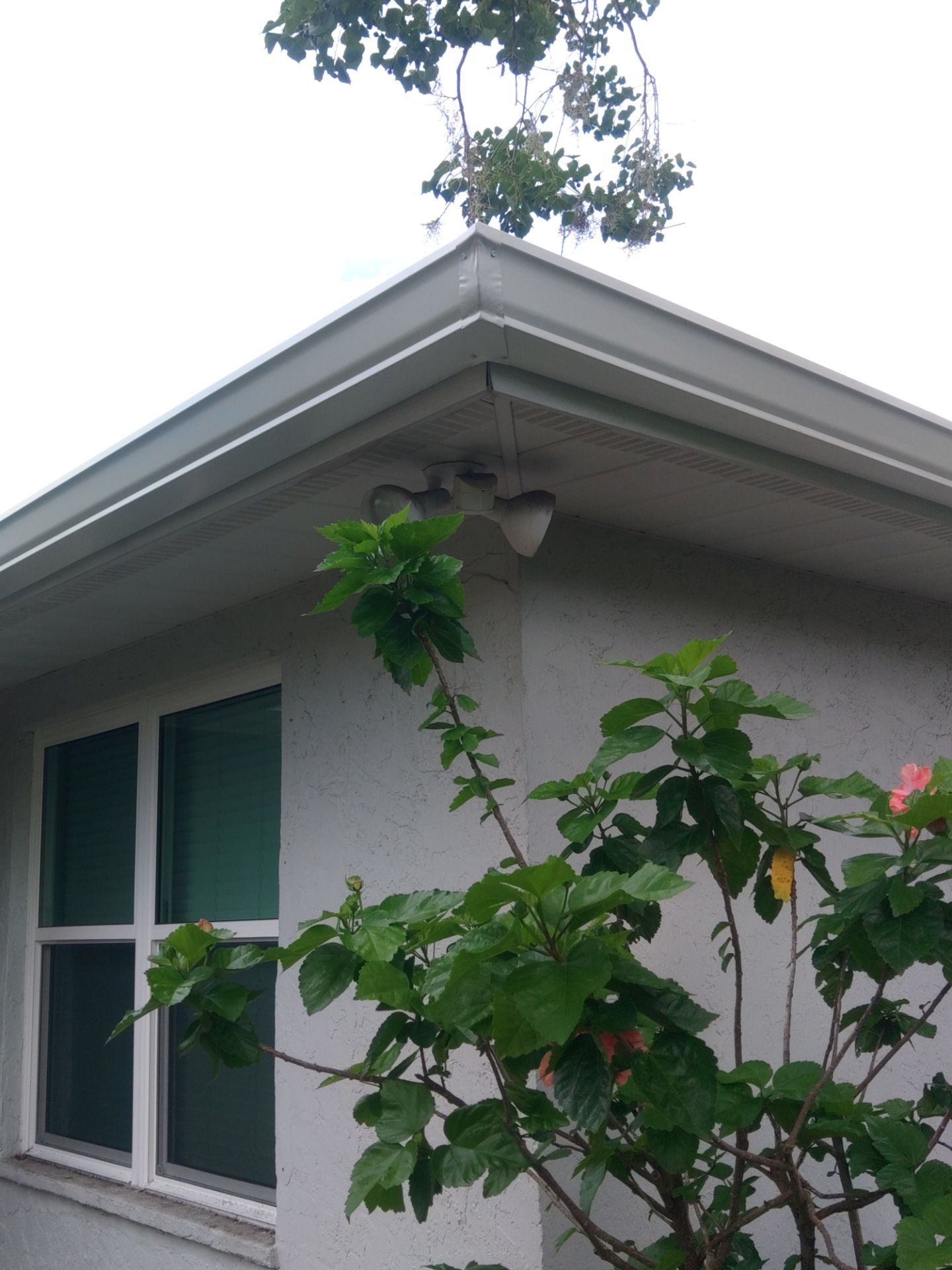 Leaf Guard System Installation in Sarasota FL by Gutter Professors
