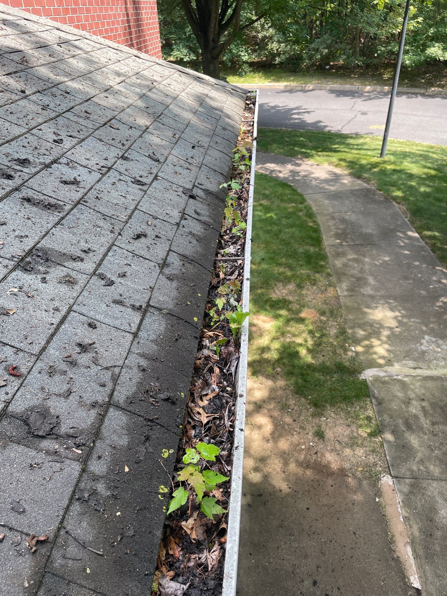 Commercial gutter cleaning New York before photo with filled gutters