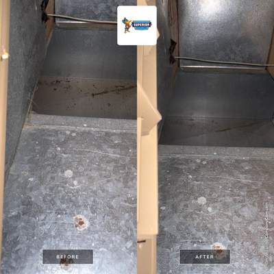 Air Duct Cleaning With a Vacuum Truck in Transfer, PA