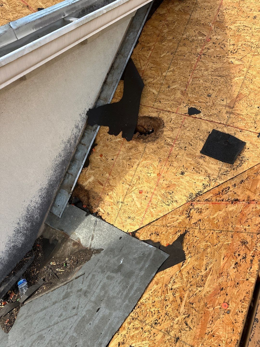 Roof Replacement Spring by Roof Repair Company