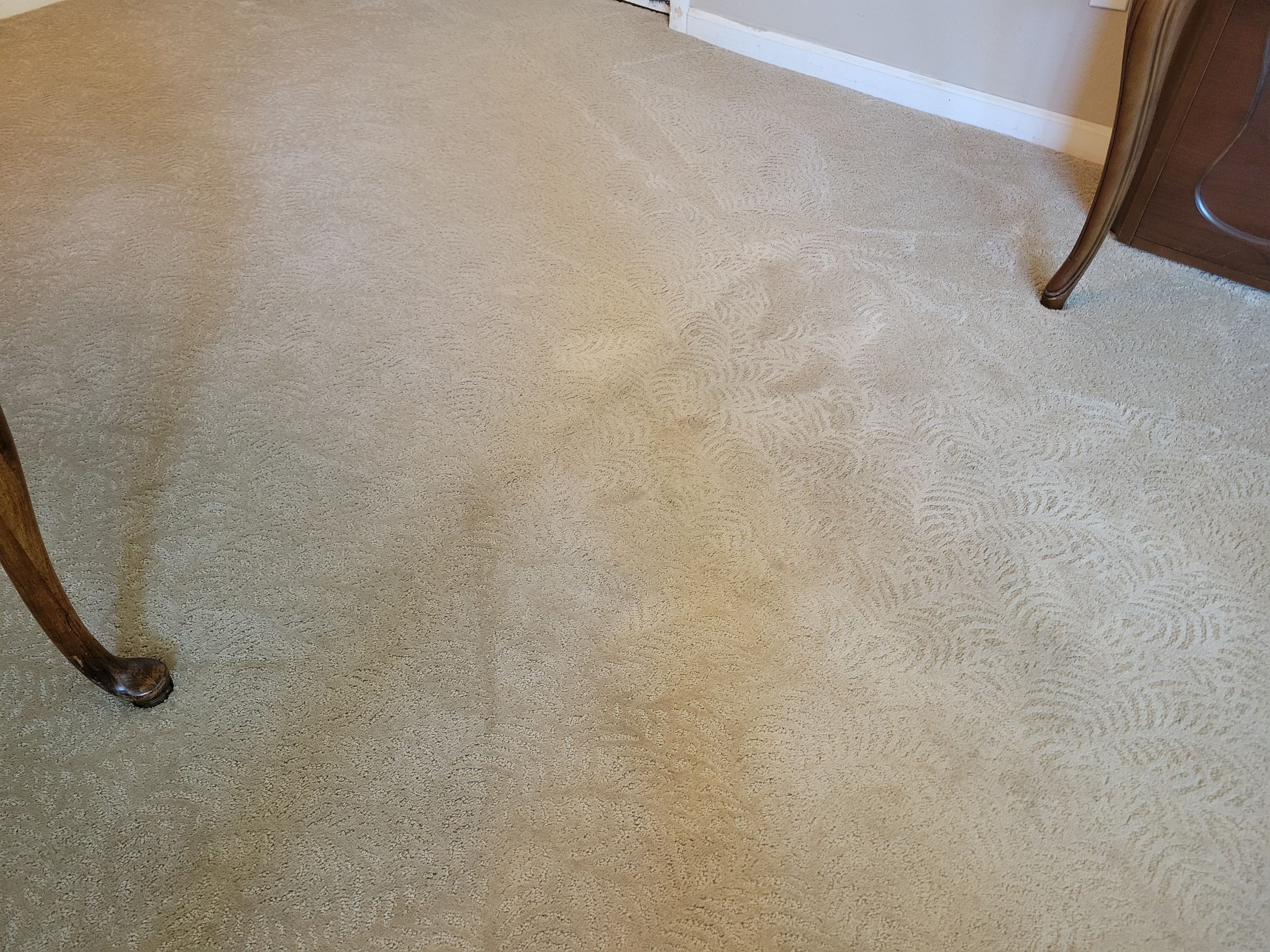 Carpet Cleaning in South Land Park by Ardent Carpet Restore LLC