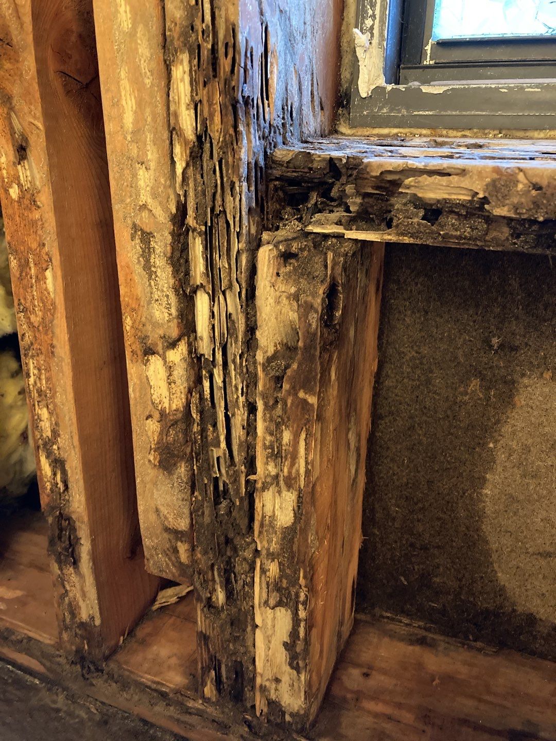Mold Remediation in Bathroom by Accountable Home Services
