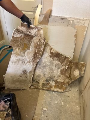 Mold Damage Inspection & Removal In Parrish, FL