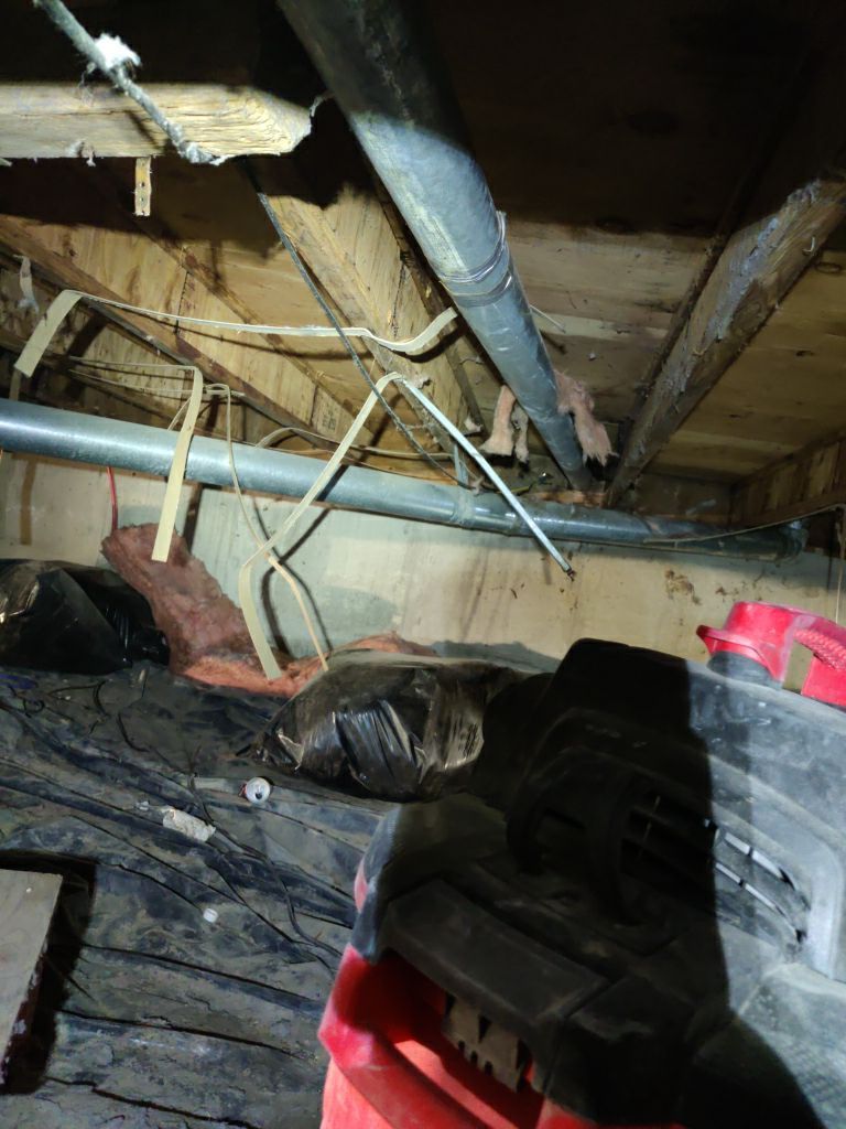 Crawl Space Cleanup  by Accountable Home Services
