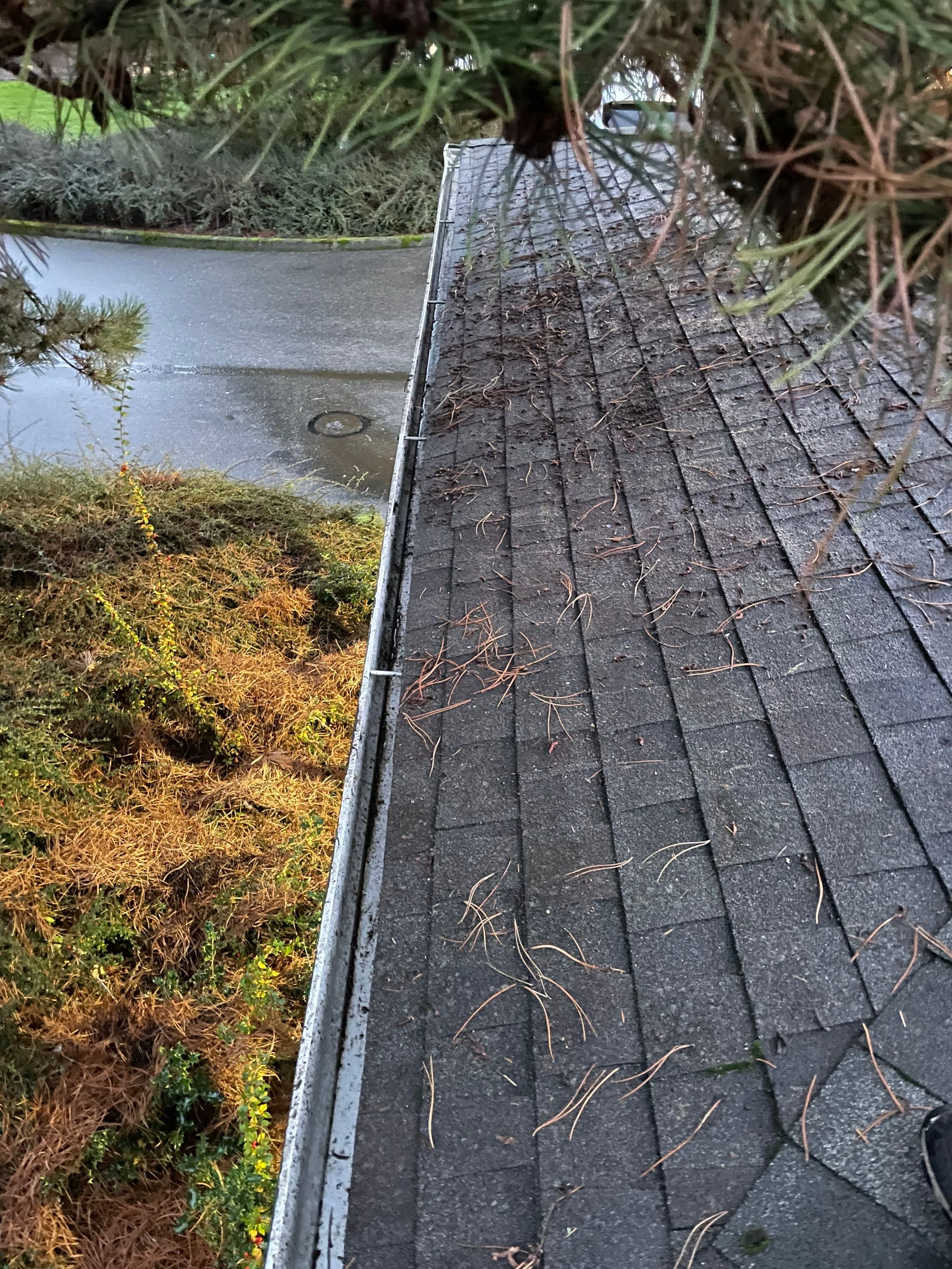 Commercial gutter cleaning Tacoma, WA after photo with clean gutters