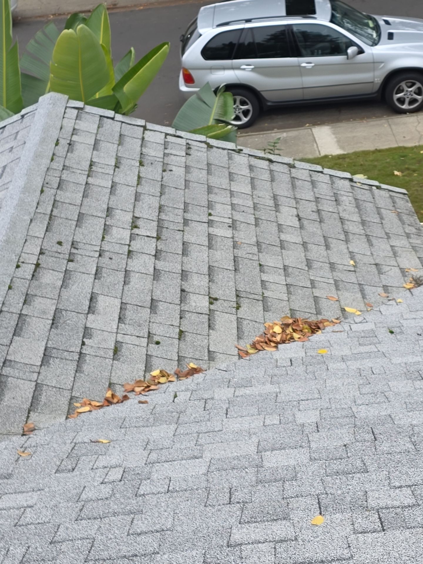 Roof Rejuvenation using Roof Maxx Treatment by Roof Maxx of Folsom