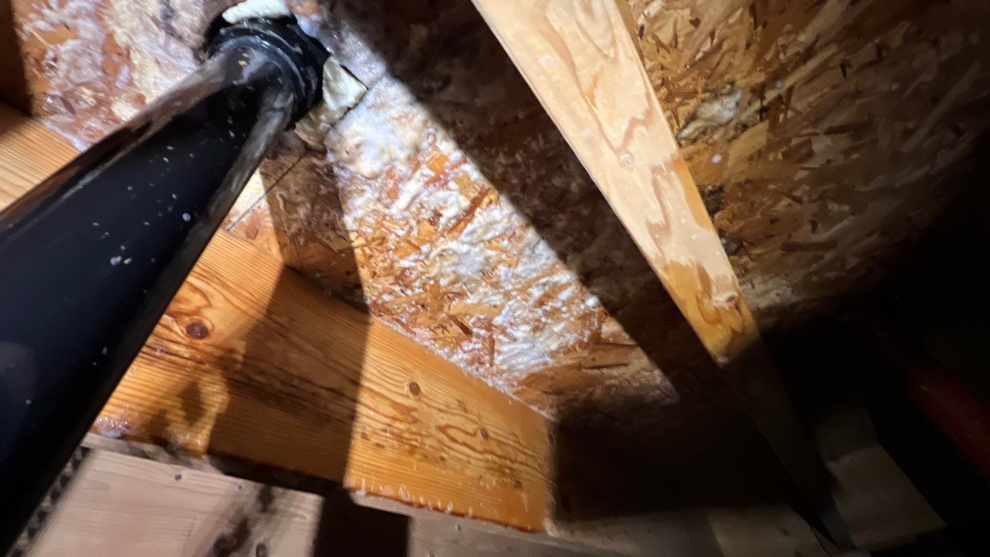 Mold Damage by Accountable Home Services