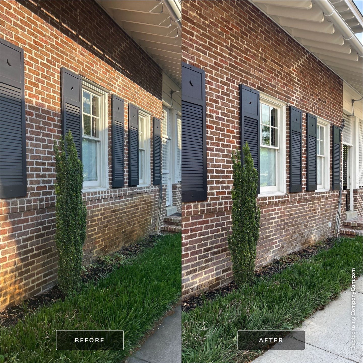 House Washing in Wilmington by Shark Power Washing