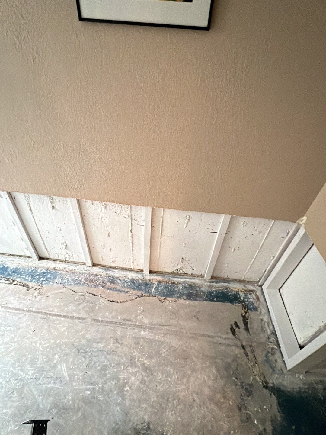 Mold Damage by Accountable Home Services