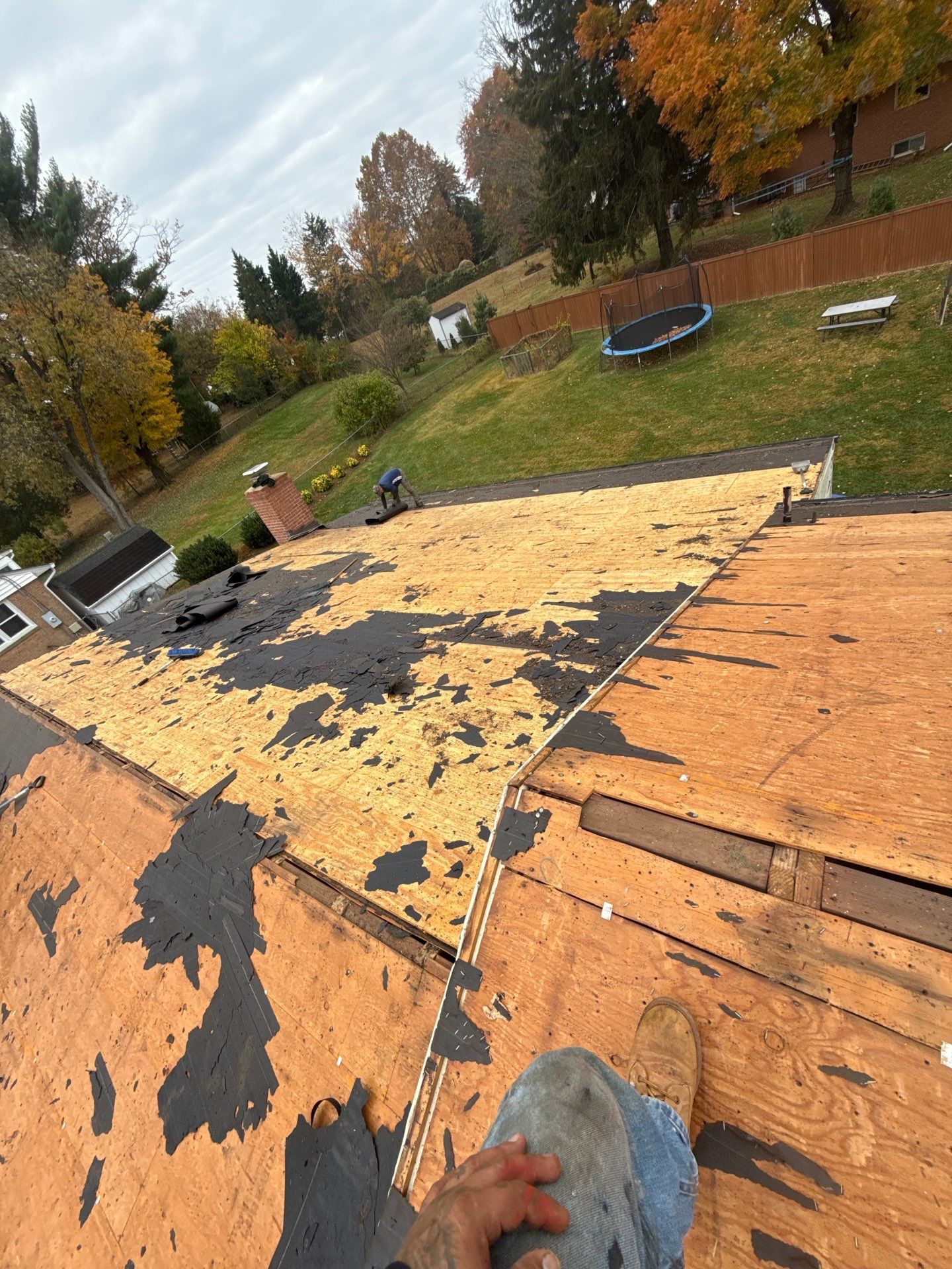 Faifax : Residential Roof Replacement with CertainTeed Landmark Pro in Max Def Coastal Blue  by RM Banning, Inc.