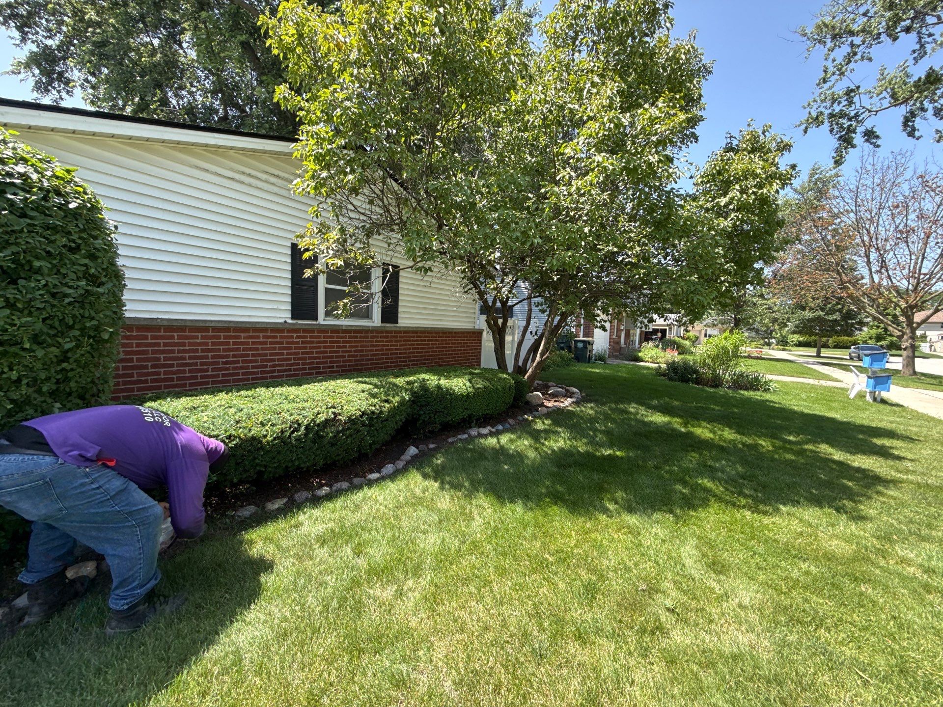 Brittany R. - Arlington Heights, IL by A&N 