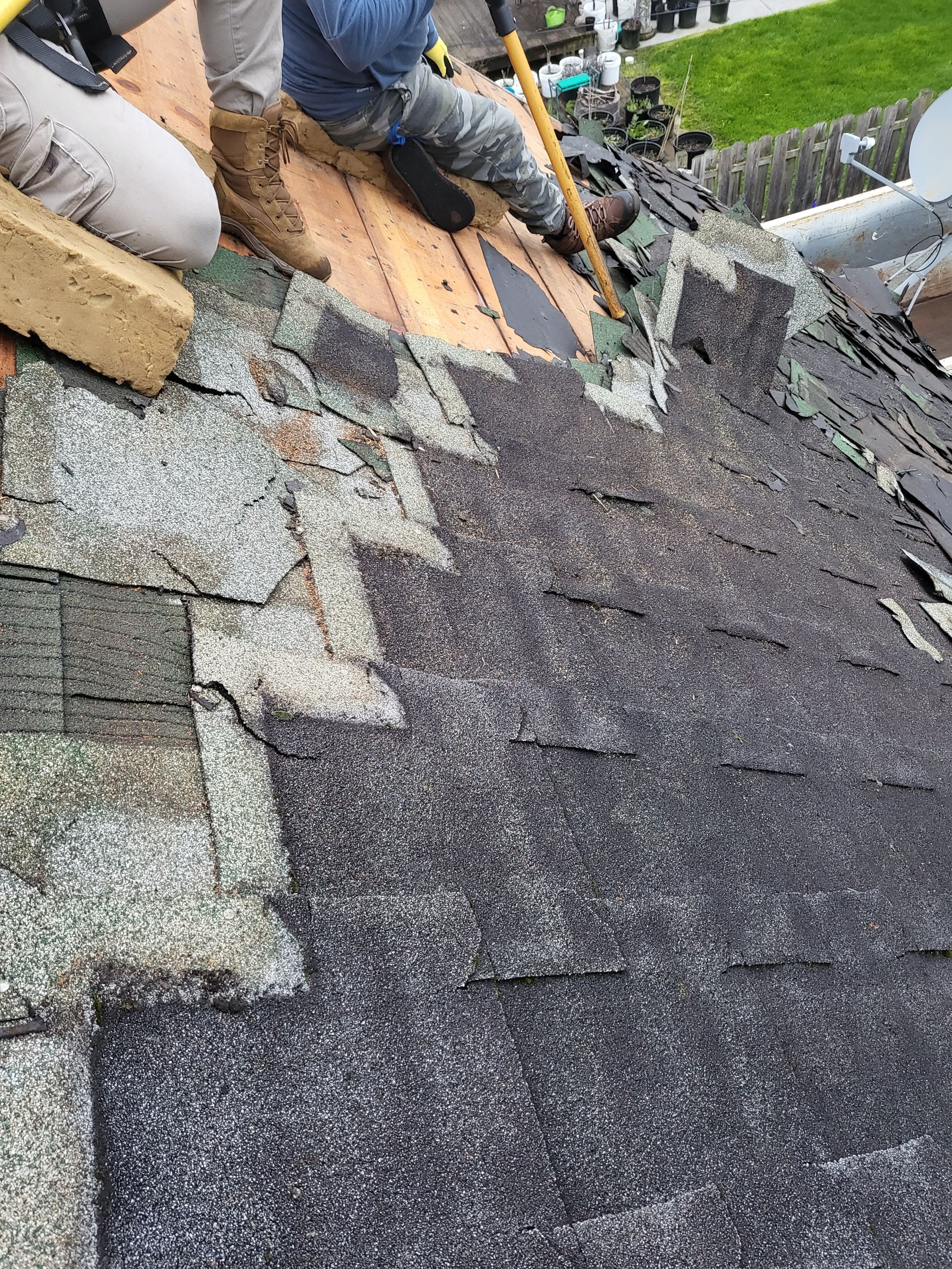 Atlas Pinnacle, Color, Woodland Green, Drip Edge, Color, White by Eagle Eye Roofing