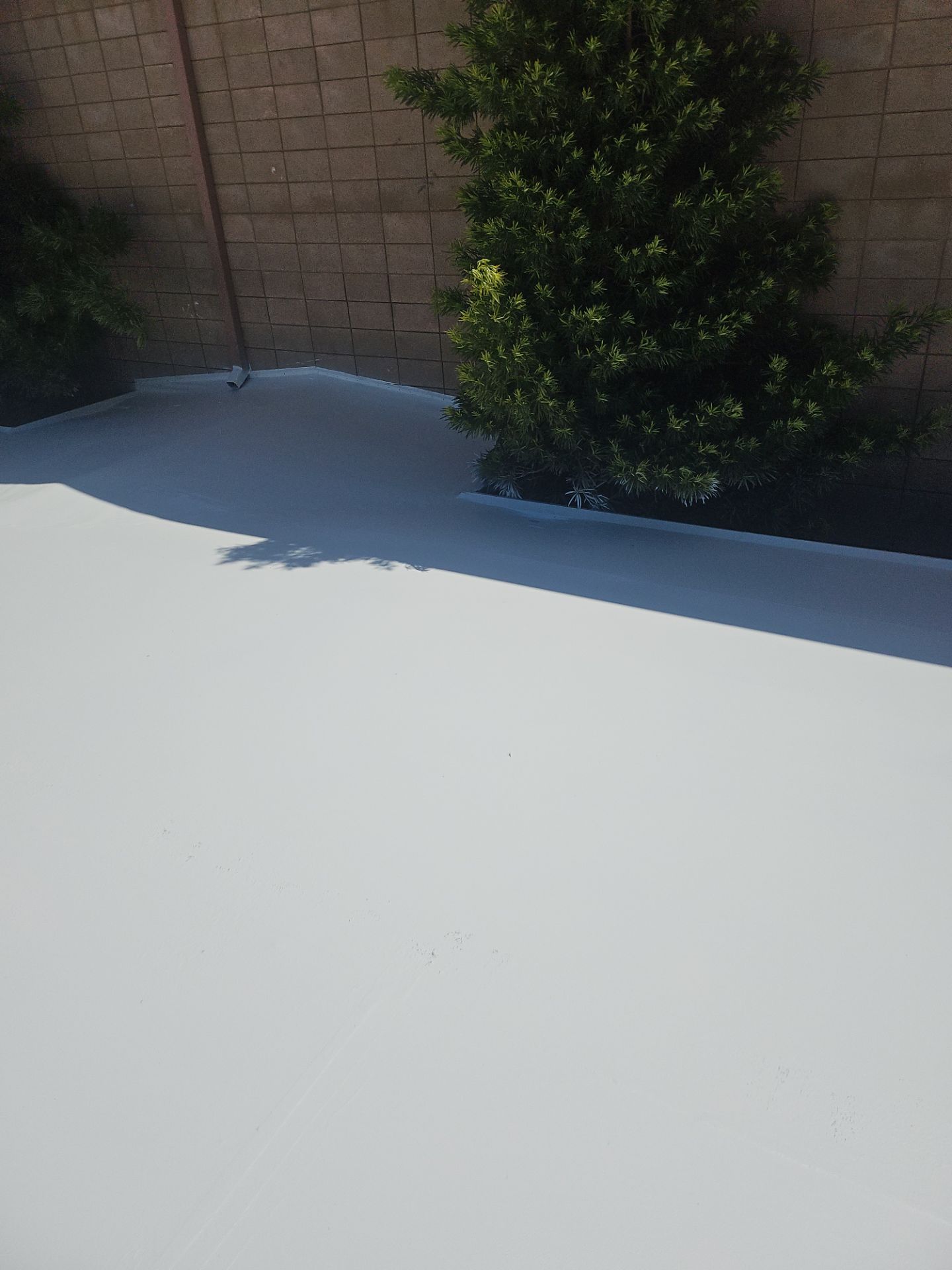 Single-ply restoration system using Benchmark/PUMA XL coatings over TPO single-ply roofing by Straight Edge Roofing Inc