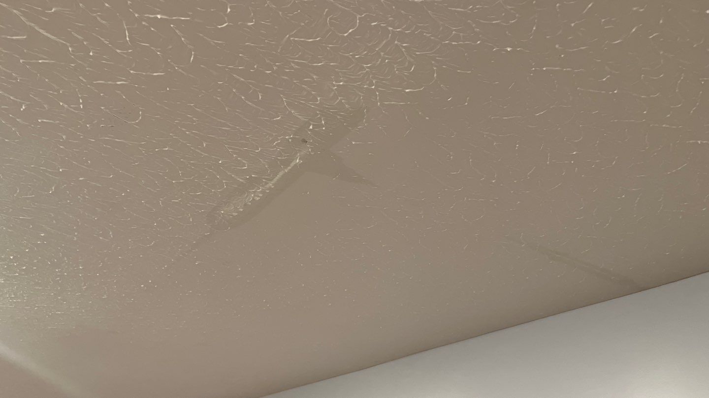 Water Damage Mitigation Using PDS System by ANR Restoration