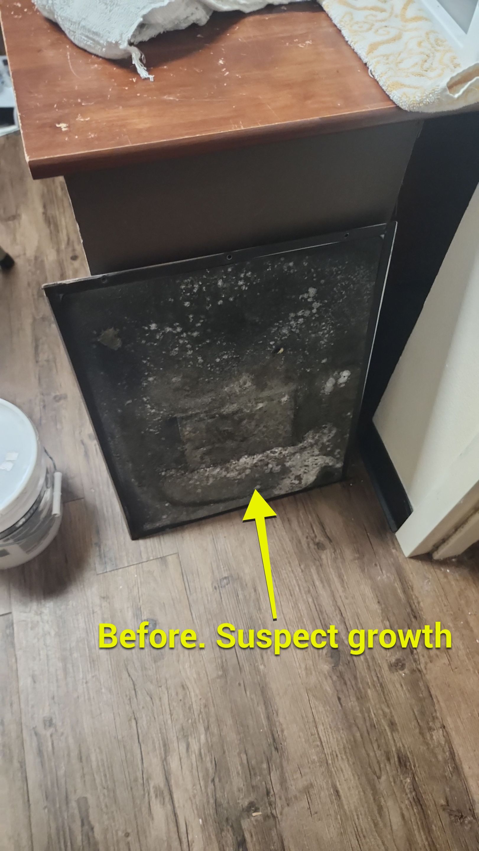 Commercial Air Duct Cleaning in Tavares by Hygienic Air, Inc