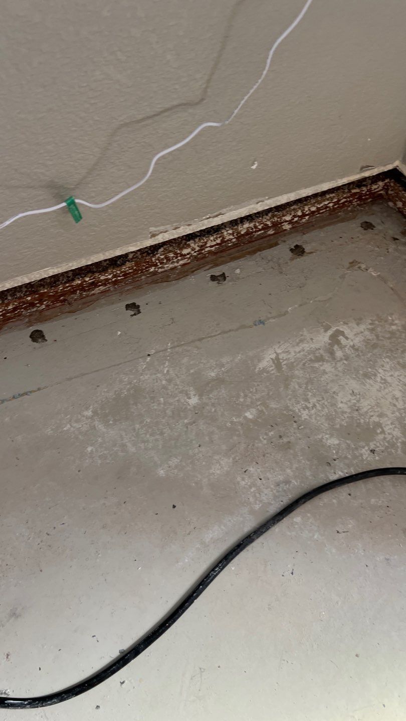 Mold Remediation  by Accountable Home Services