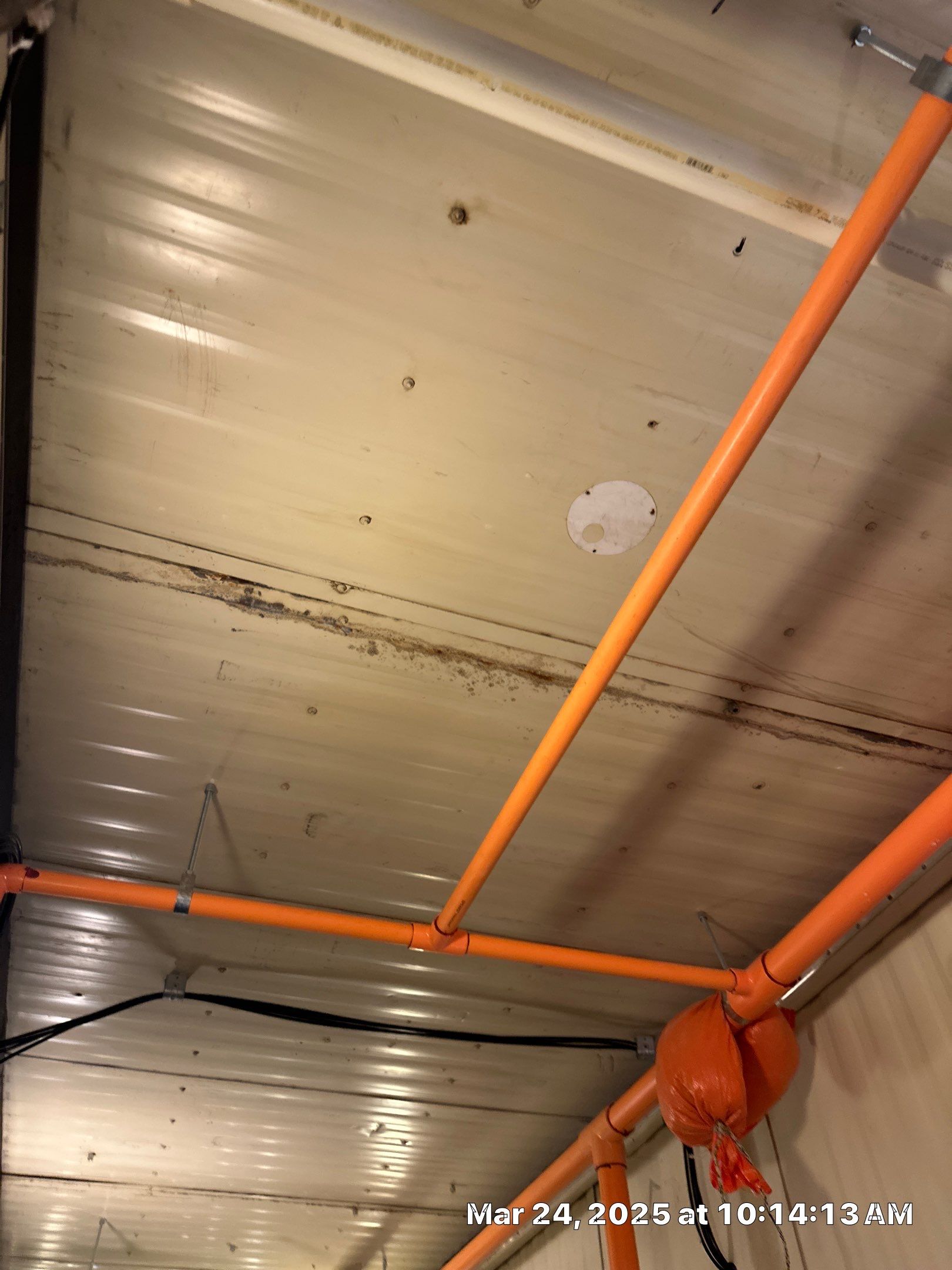 Flood Damage using IR Camera, Moisture Meter, Air Cassette samples and Tape lifts by Building performance Solutions LLC