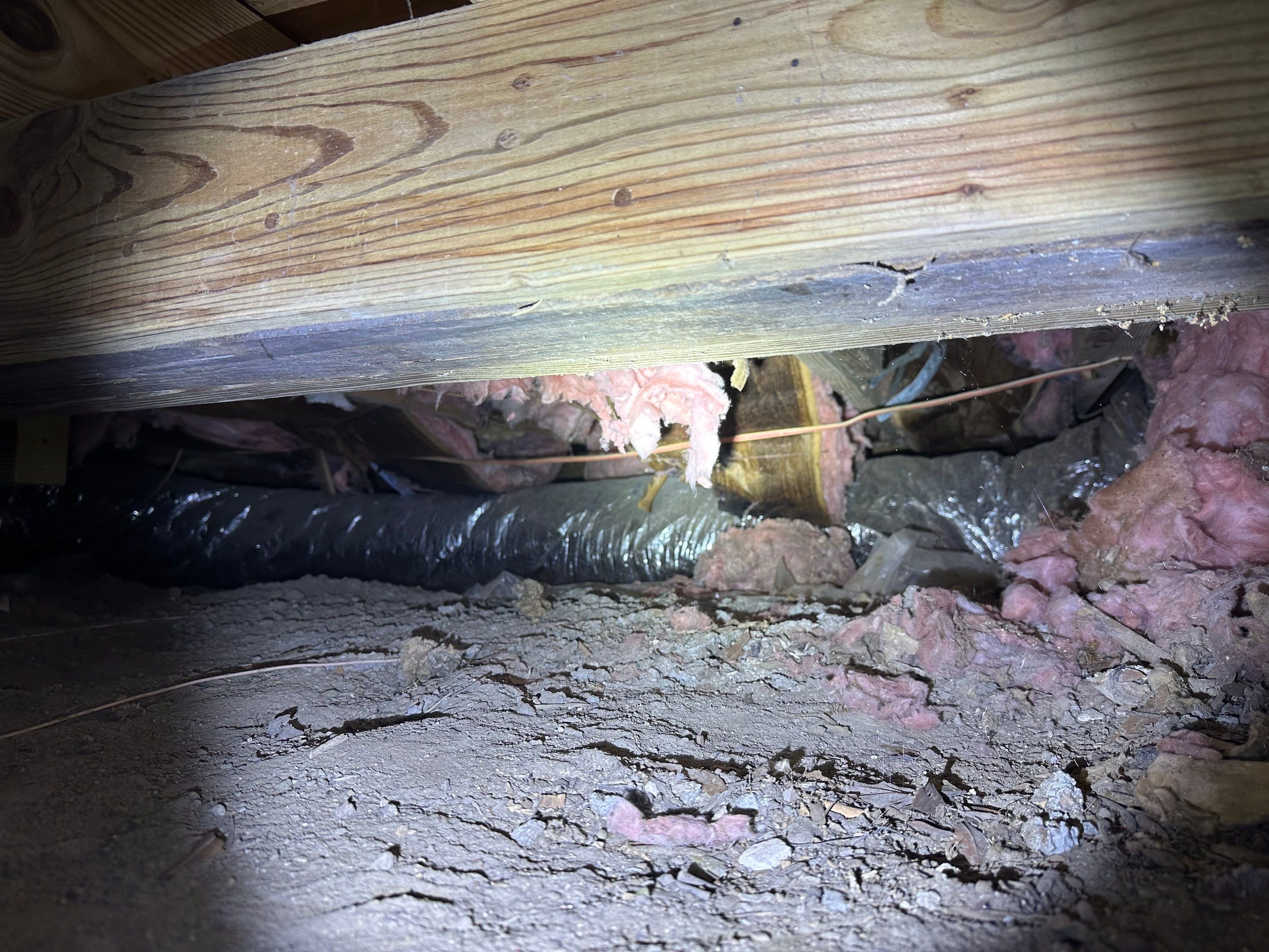 Impact Choice Encapsulation on a low crawlspace. by Impact Crawlspace
