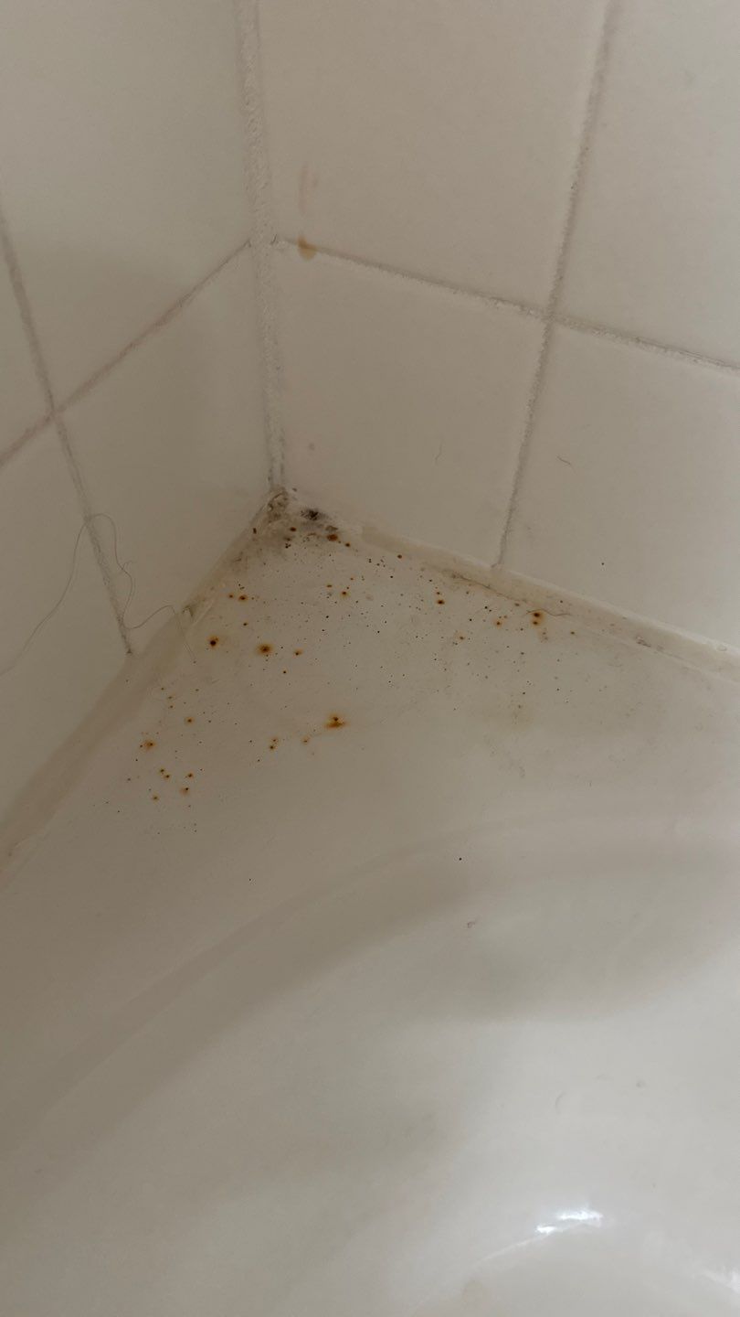 Project in Broomfield by Accountable Home Services