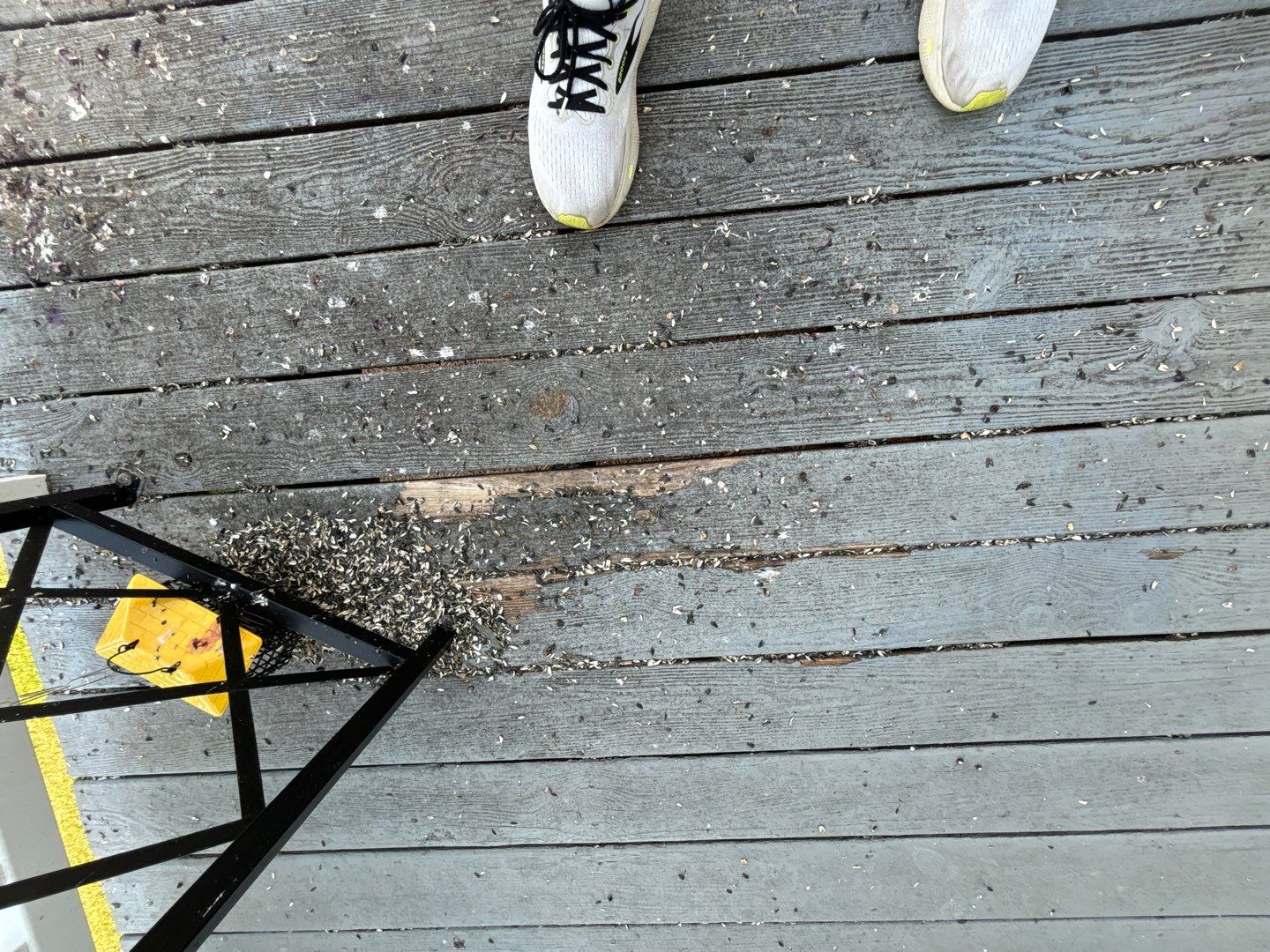 Coated Deck using AcryFin by DuraSeal