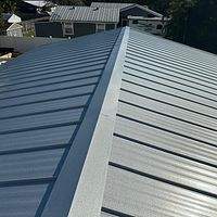 24ga 1" Nail-Strip Mill Finish by Total Roofing System The Metal Roof Experts