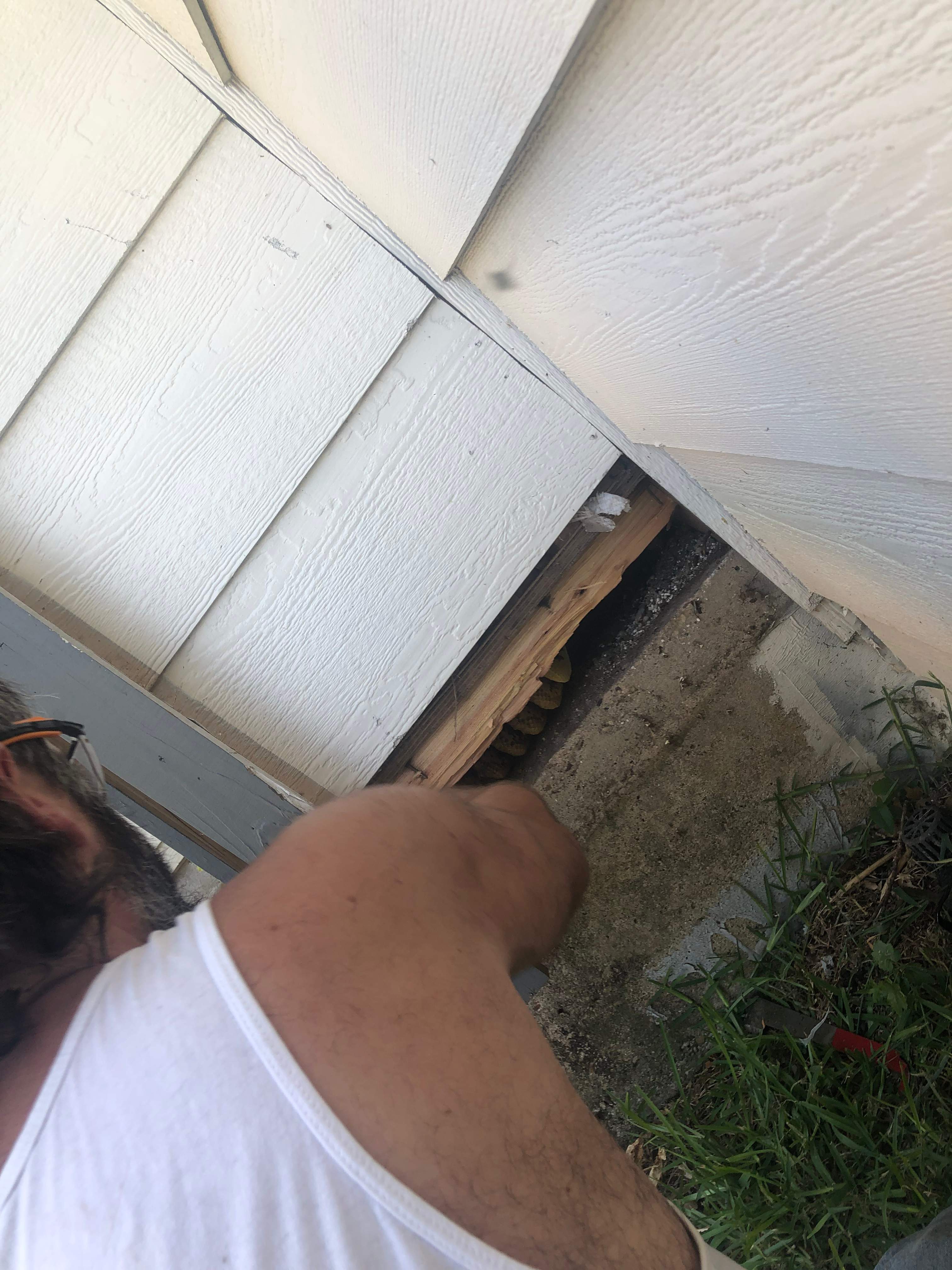 Bees Handled by Rockwall Honey Bee Company