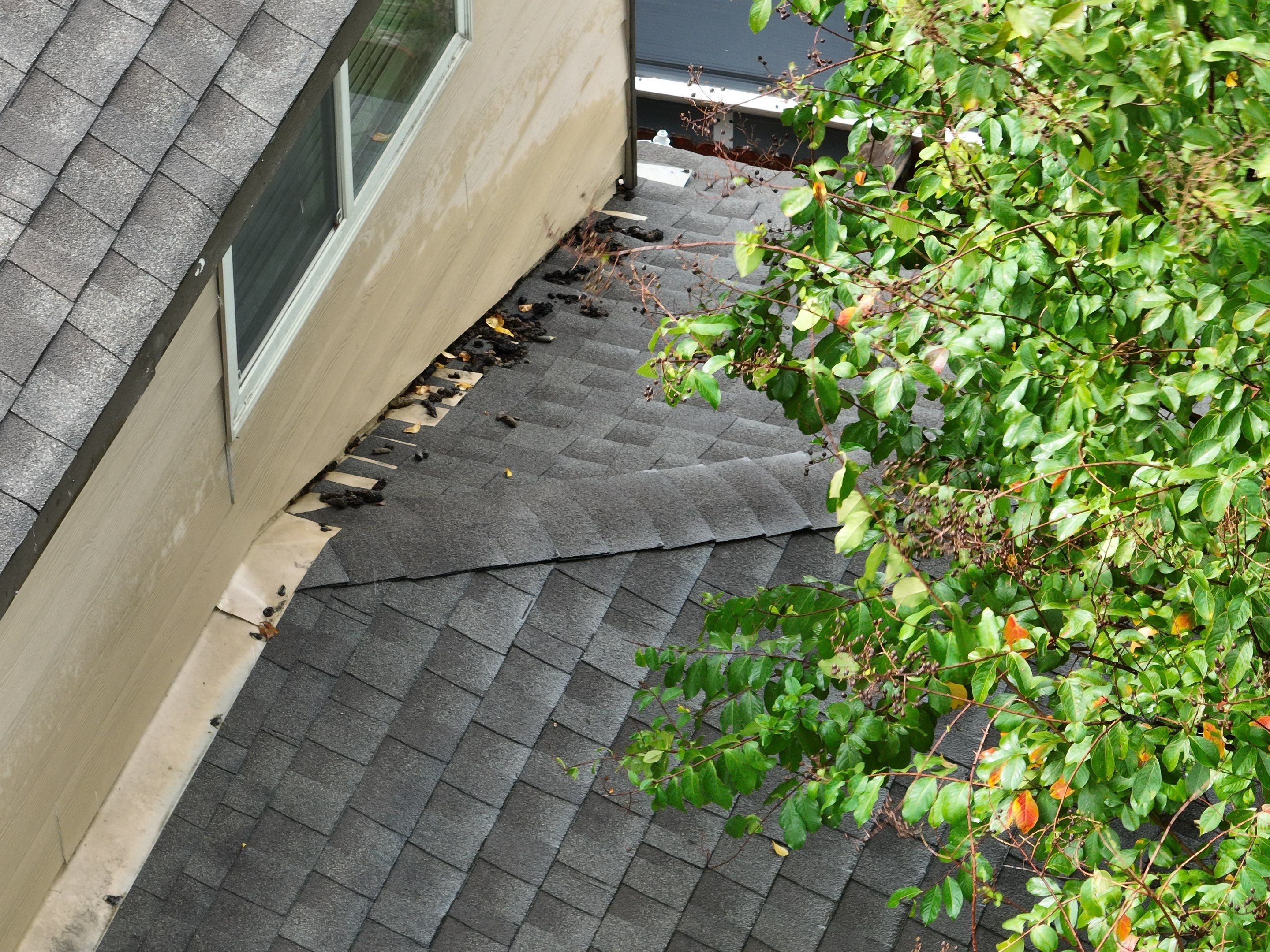 Roof Inspection by Premier Roofing and Contracting