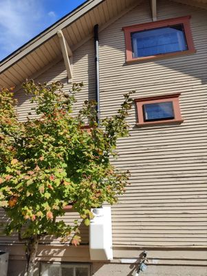 Project in Vancouver