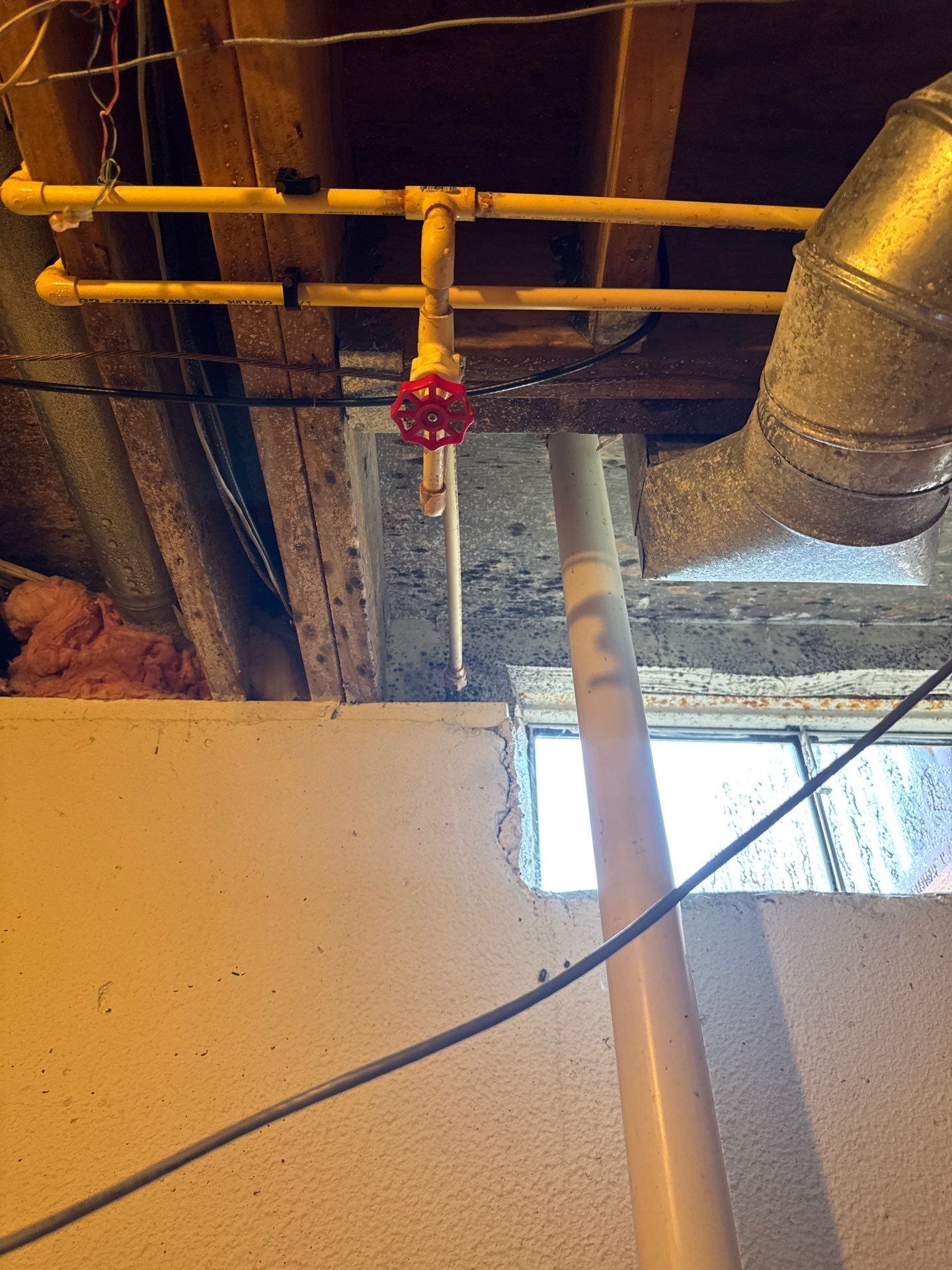 Project in Novi by EzDry Water Mitigation & Property Restoration