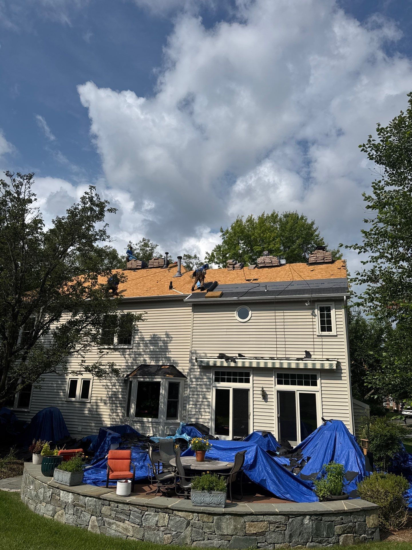 New Shingle Roof & New Gutters and downspouts with covers by Alpha Design Services