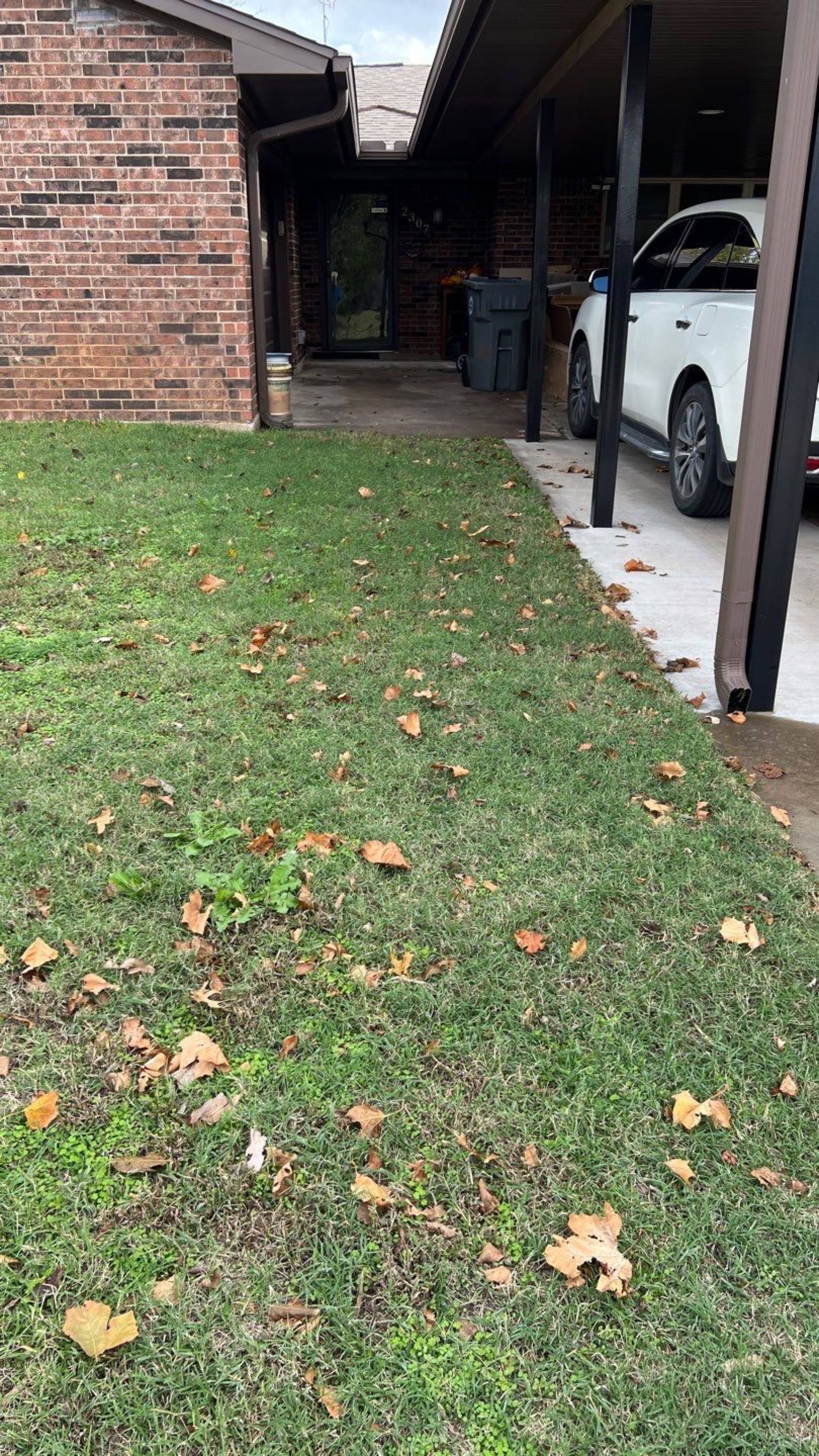 Fence , Concrete Pads , and Tree Removal by Clays Services Inc