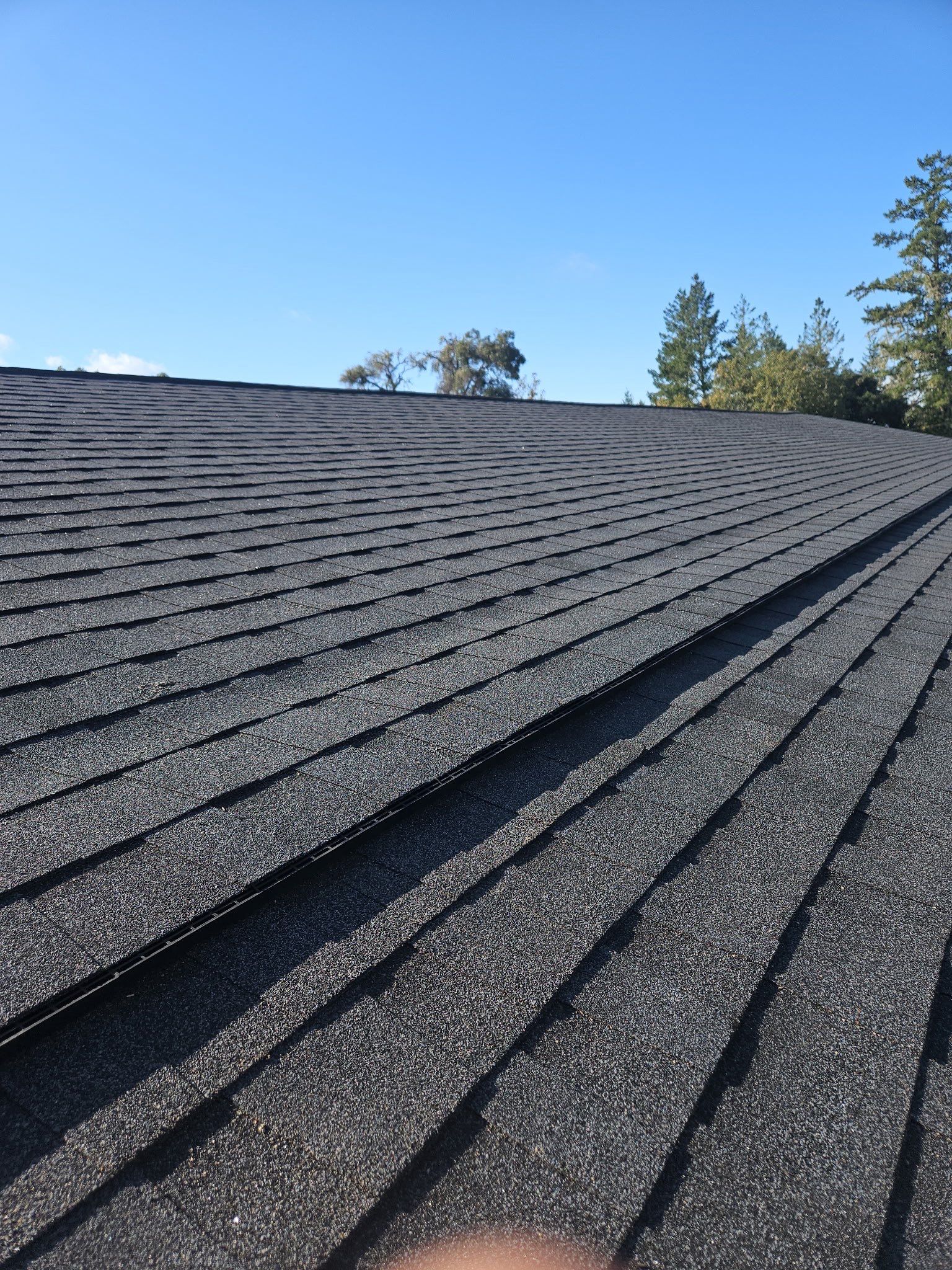 New Winery Roof by JRS Construction