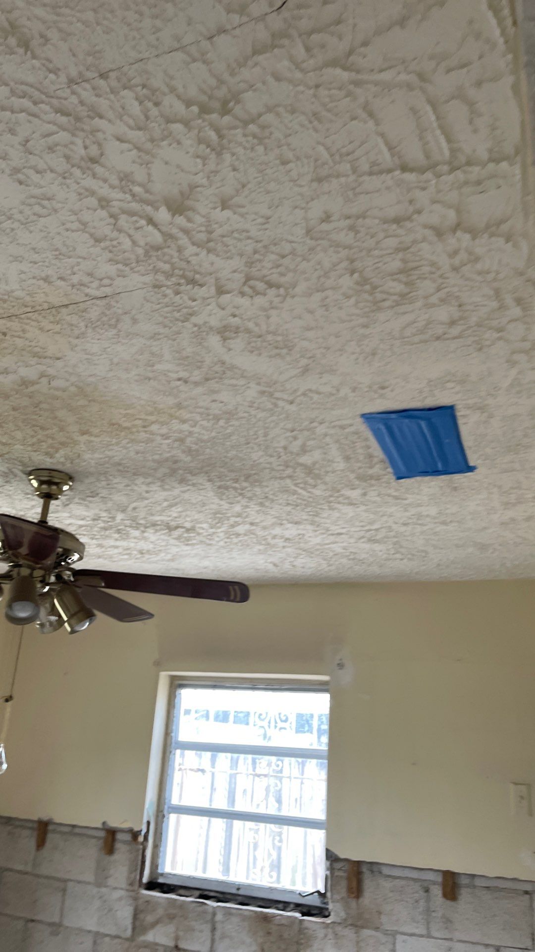 Mold Remediation  by THE RAPID TEAM
