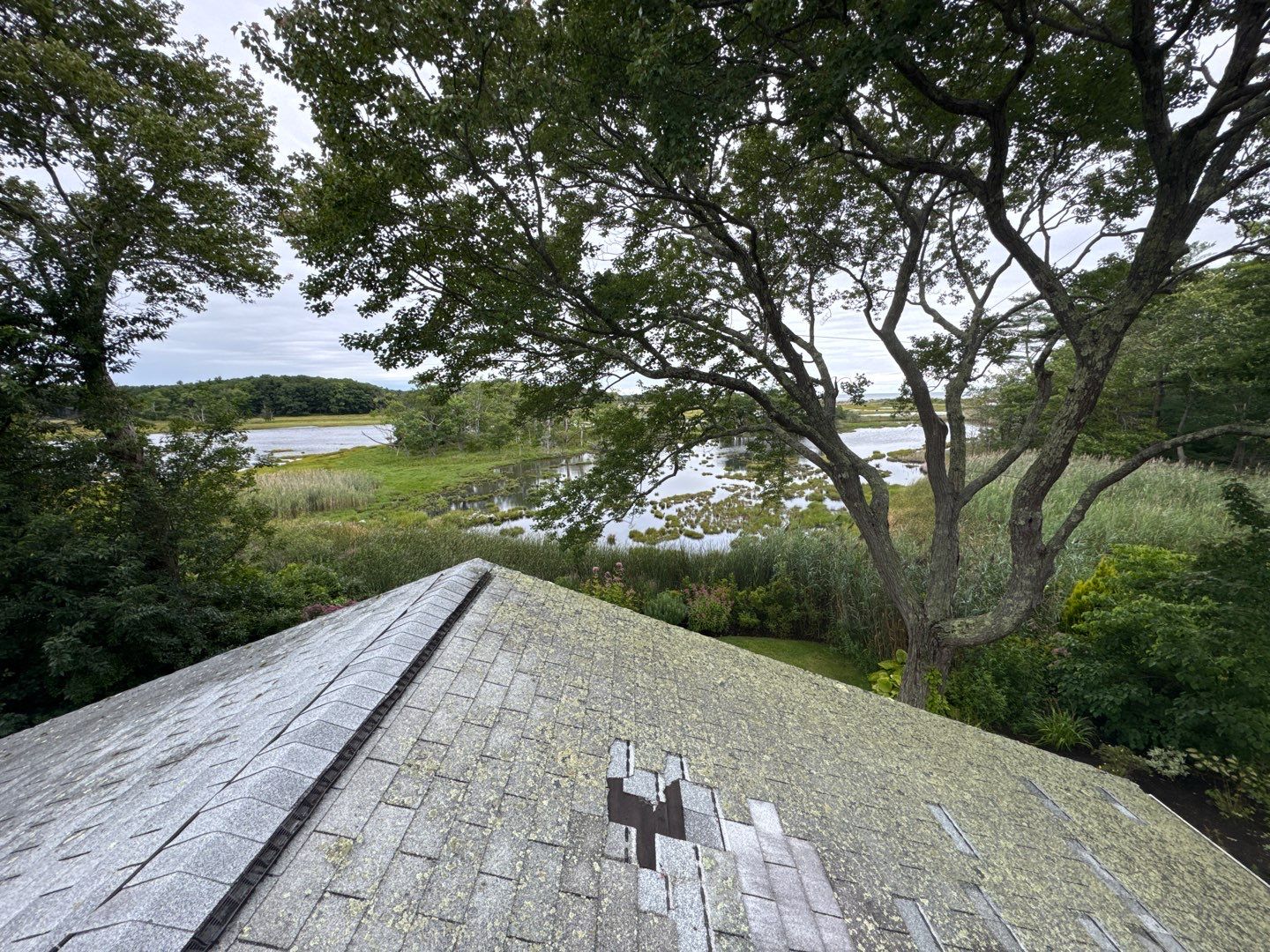 Full Roof Replacement & Carport Trim Repair   by Sensible Home Solutions