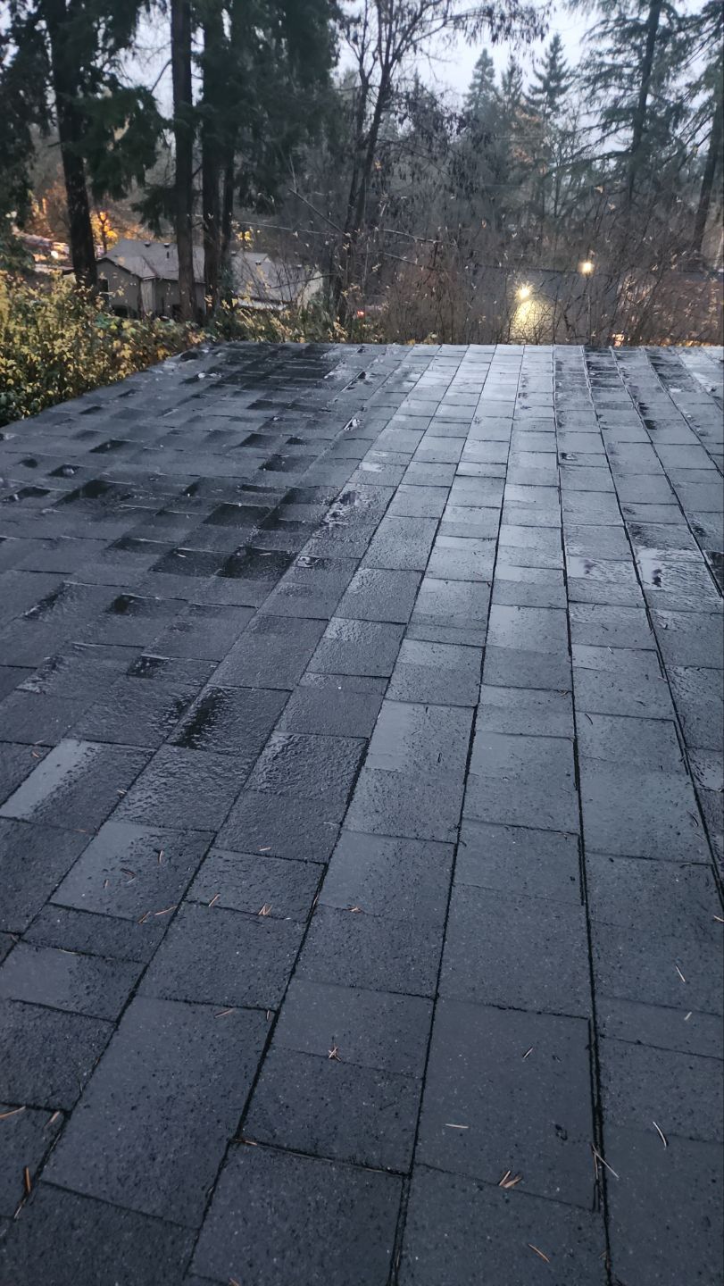 Driveway Repair using Pressure washing no chemicals by Willamette Outdoor Wash LLC