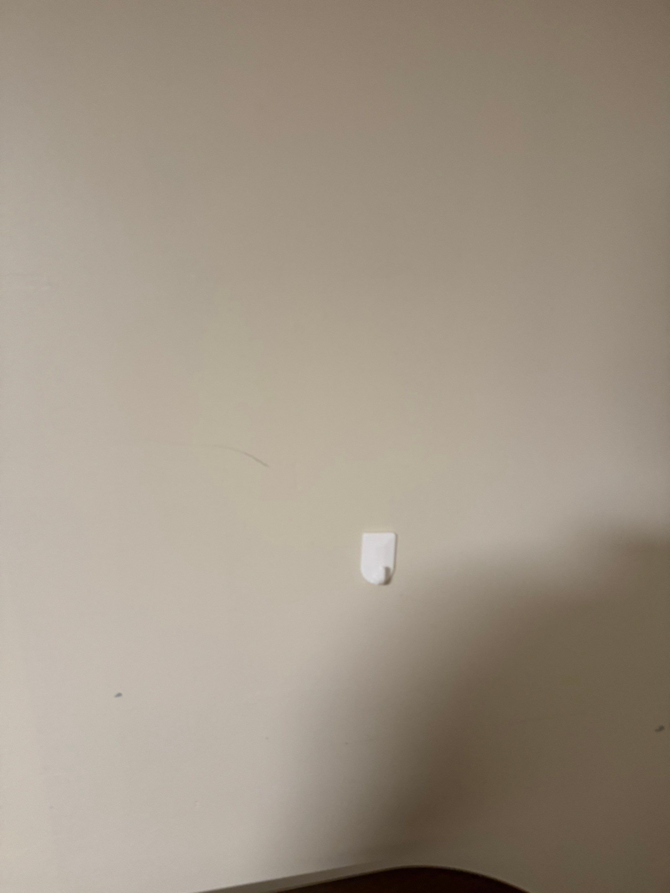 Painting by YVR Construction Group