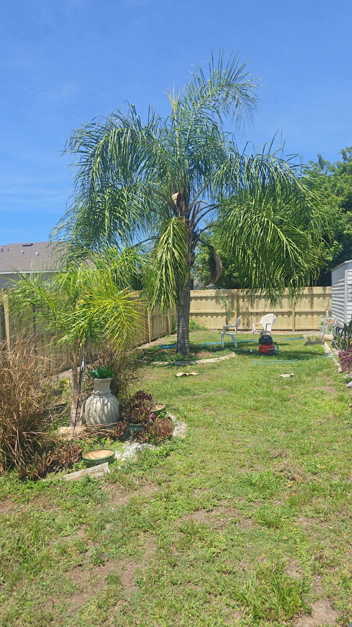 Pressure-Treated Wood Privacy Fence Installation in Port Charlotte by True Fence LLC